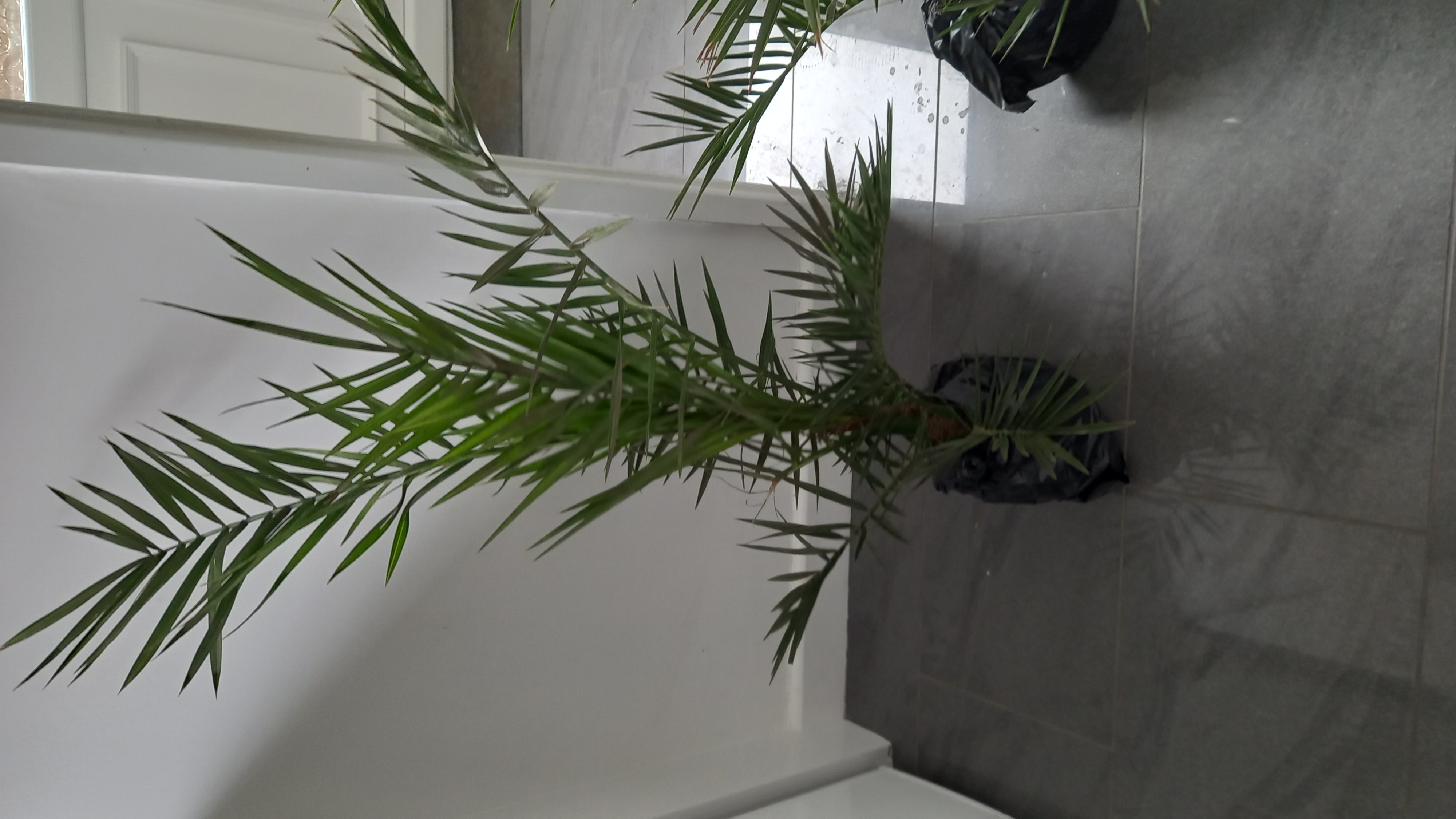 Review photo for 
