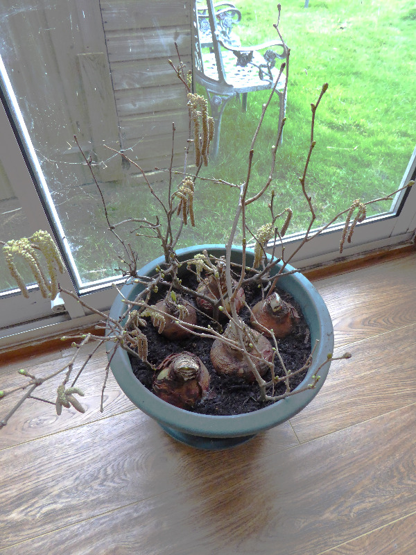 Review photo for 