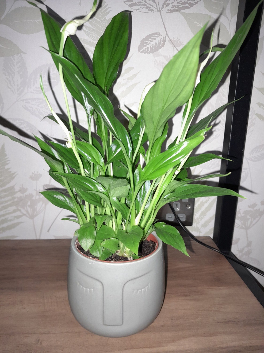 Customer photo