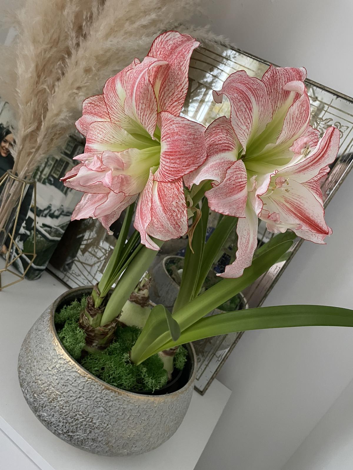 Customer photo