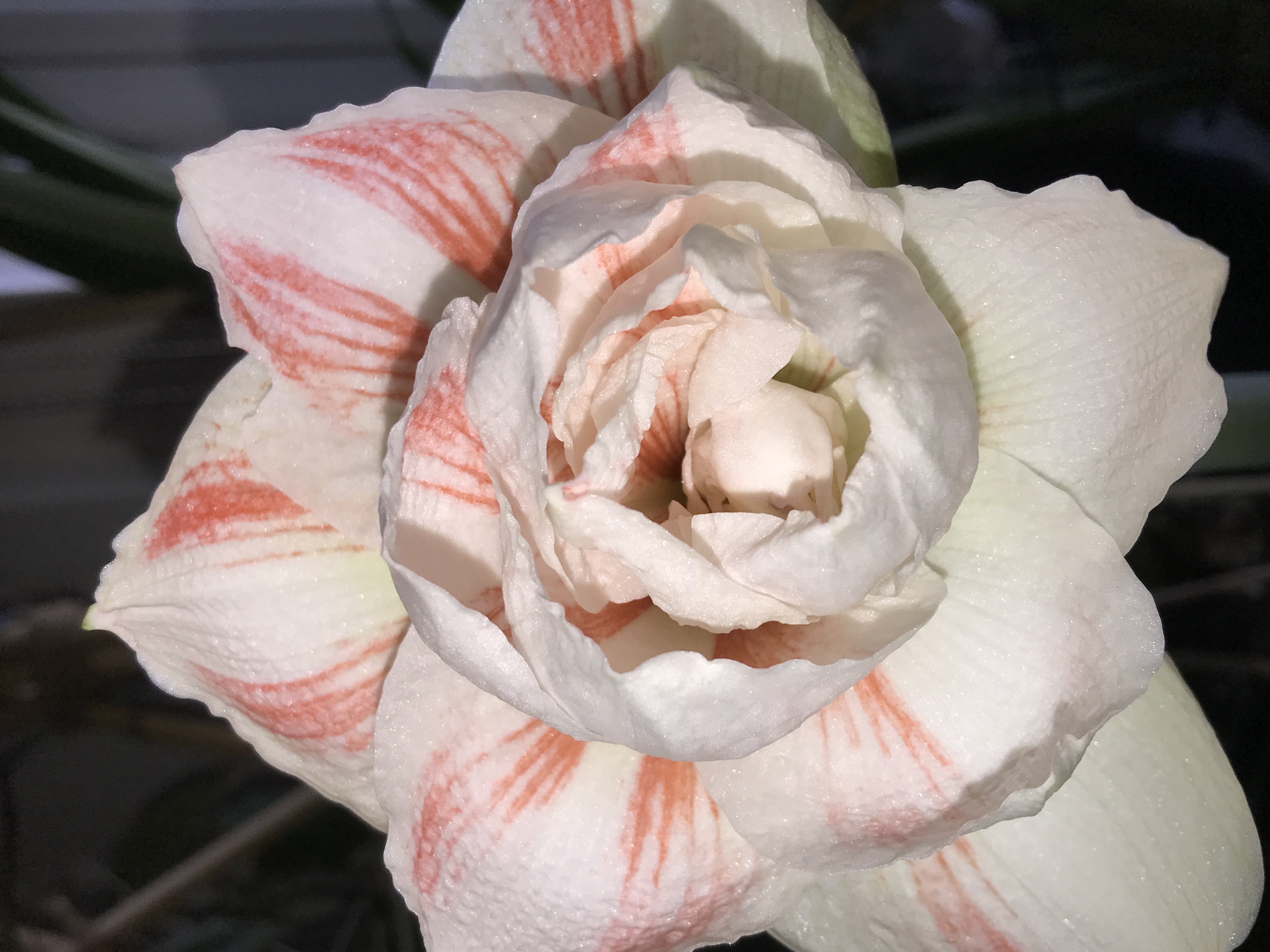 Review photo for 