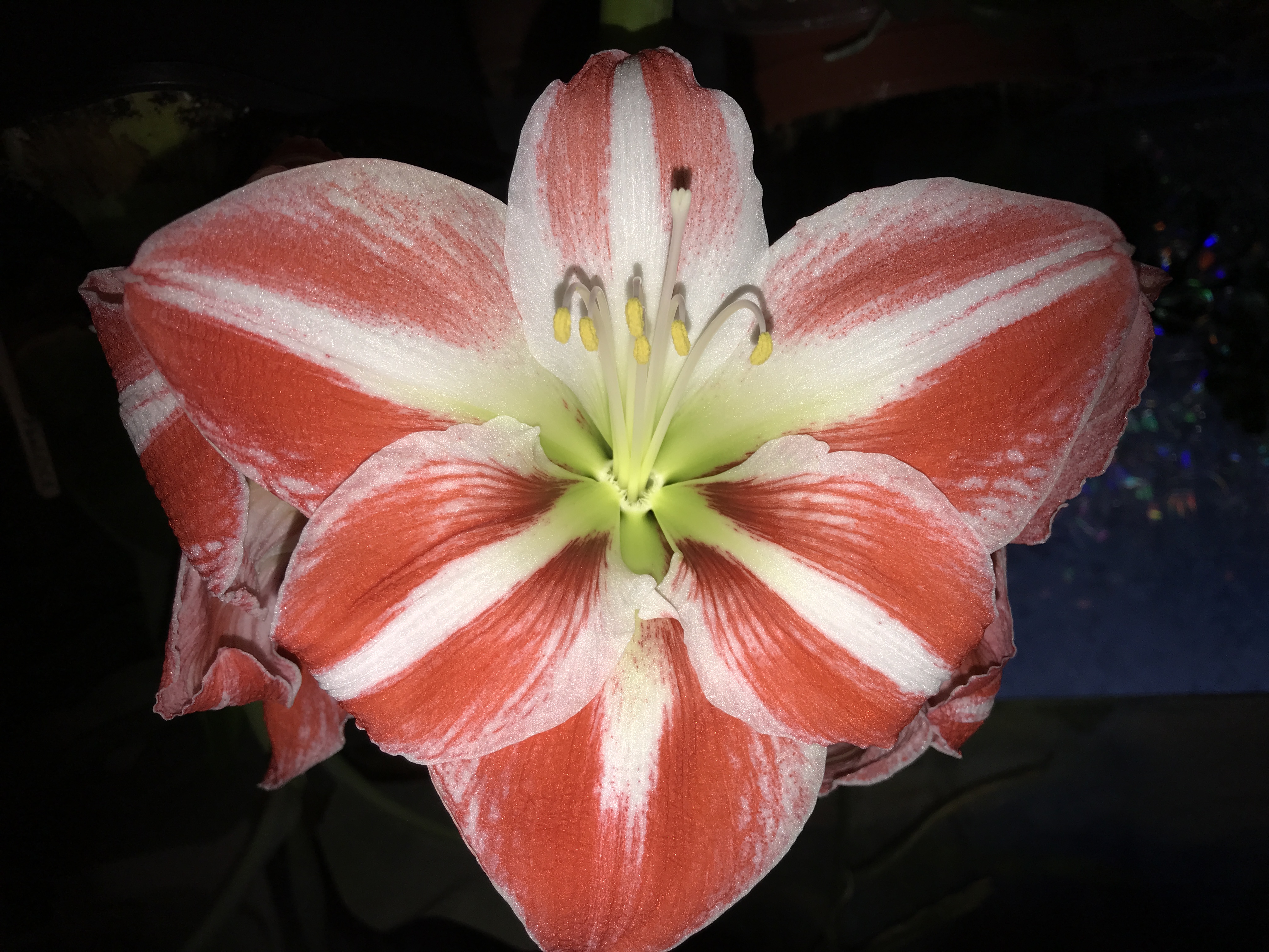 Review photo for 