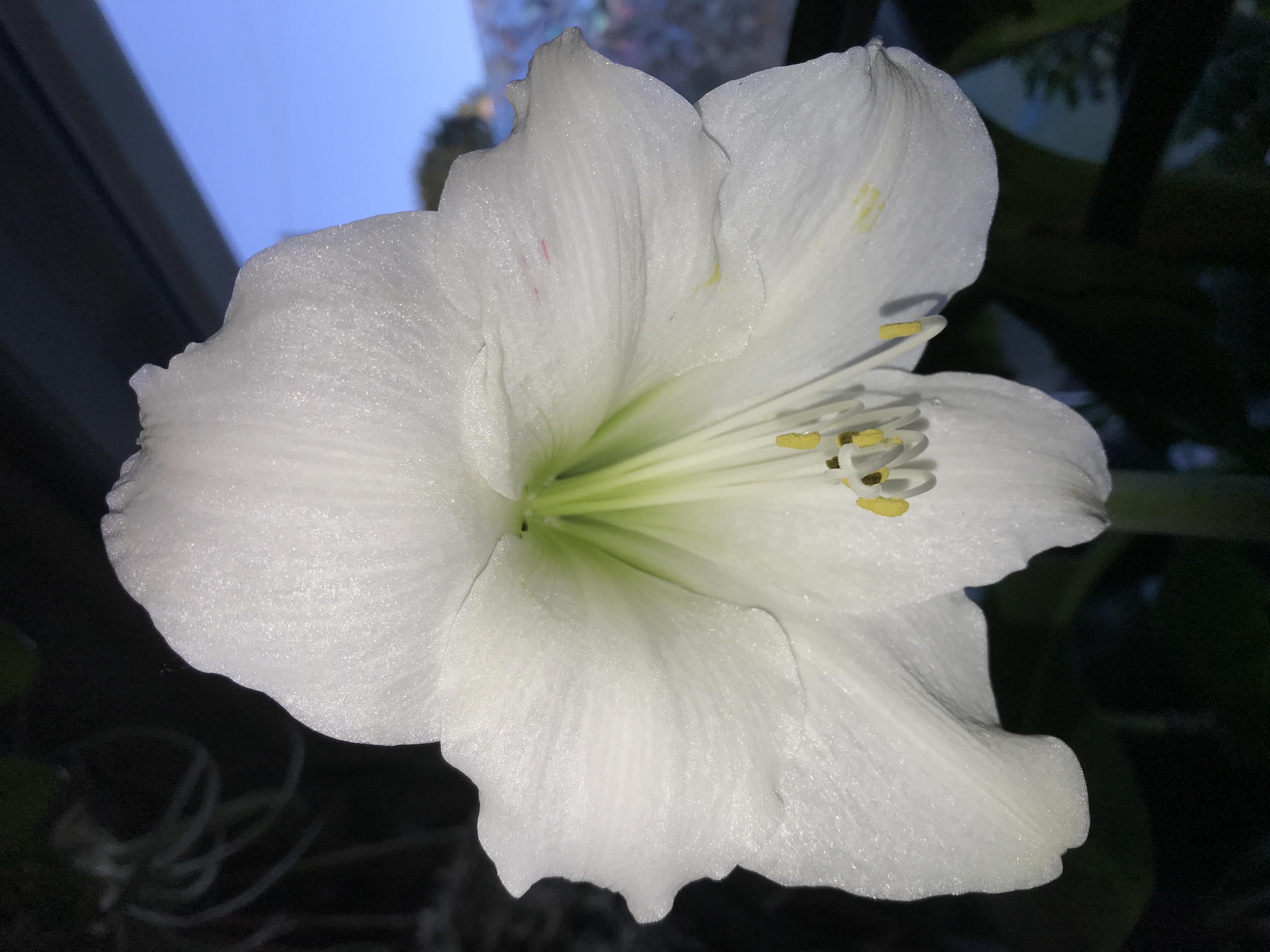 Review photo for 