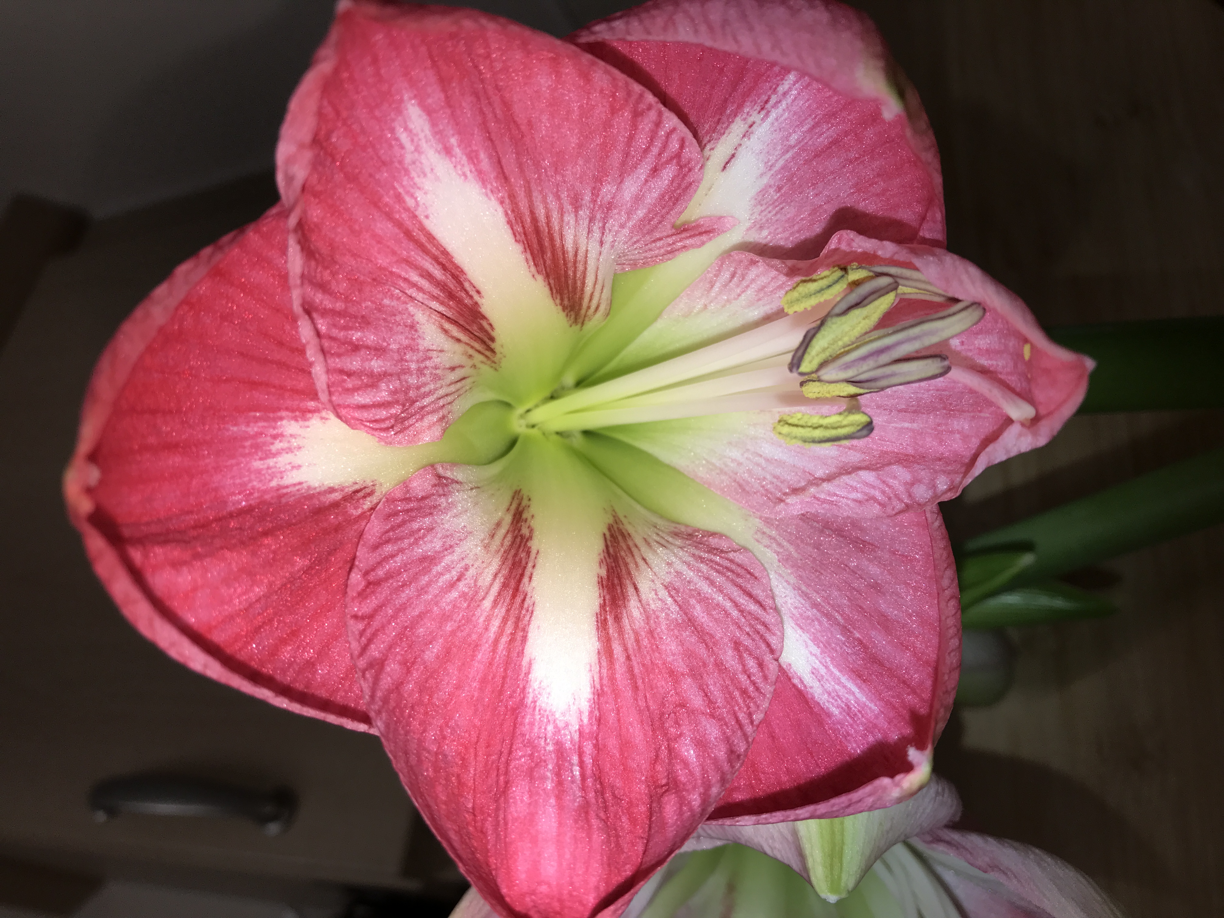 Review photo for 