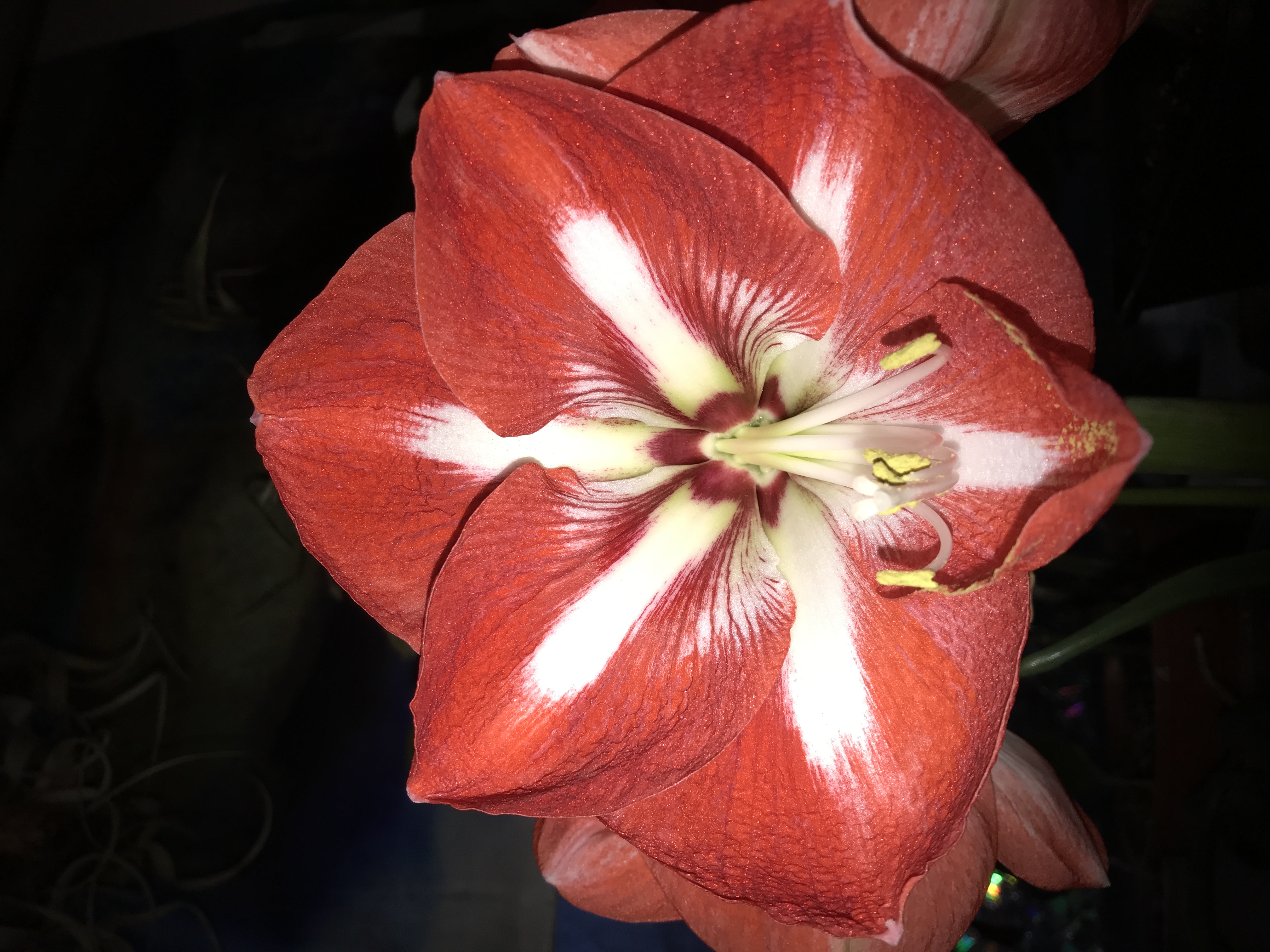 Review photo for 