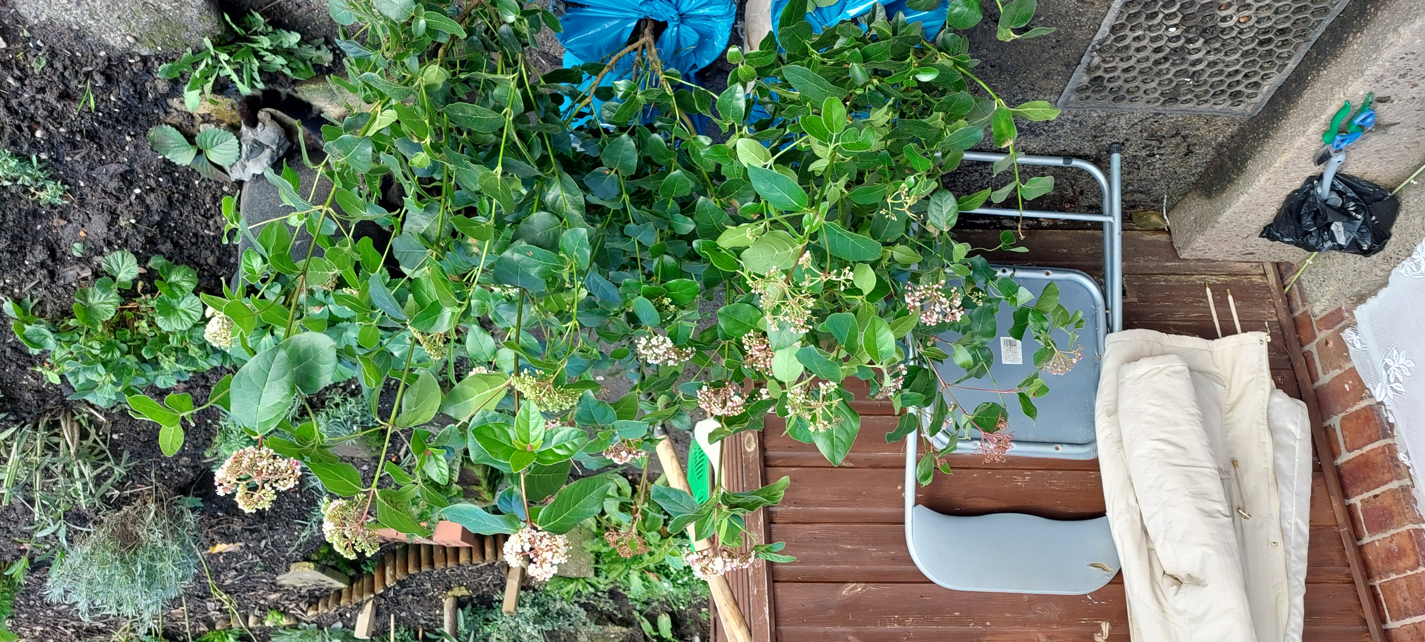 Customer photo