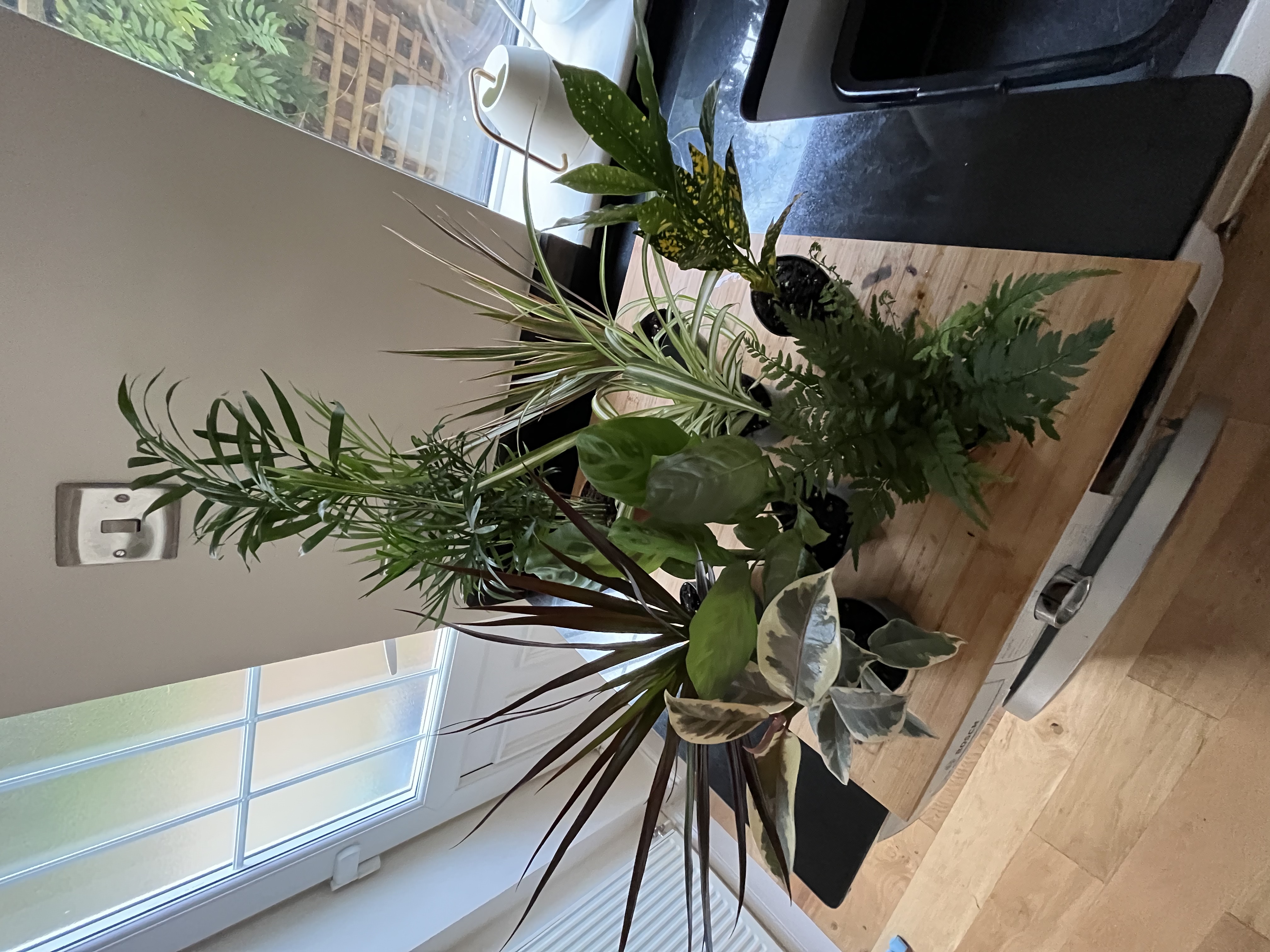 Customer photo