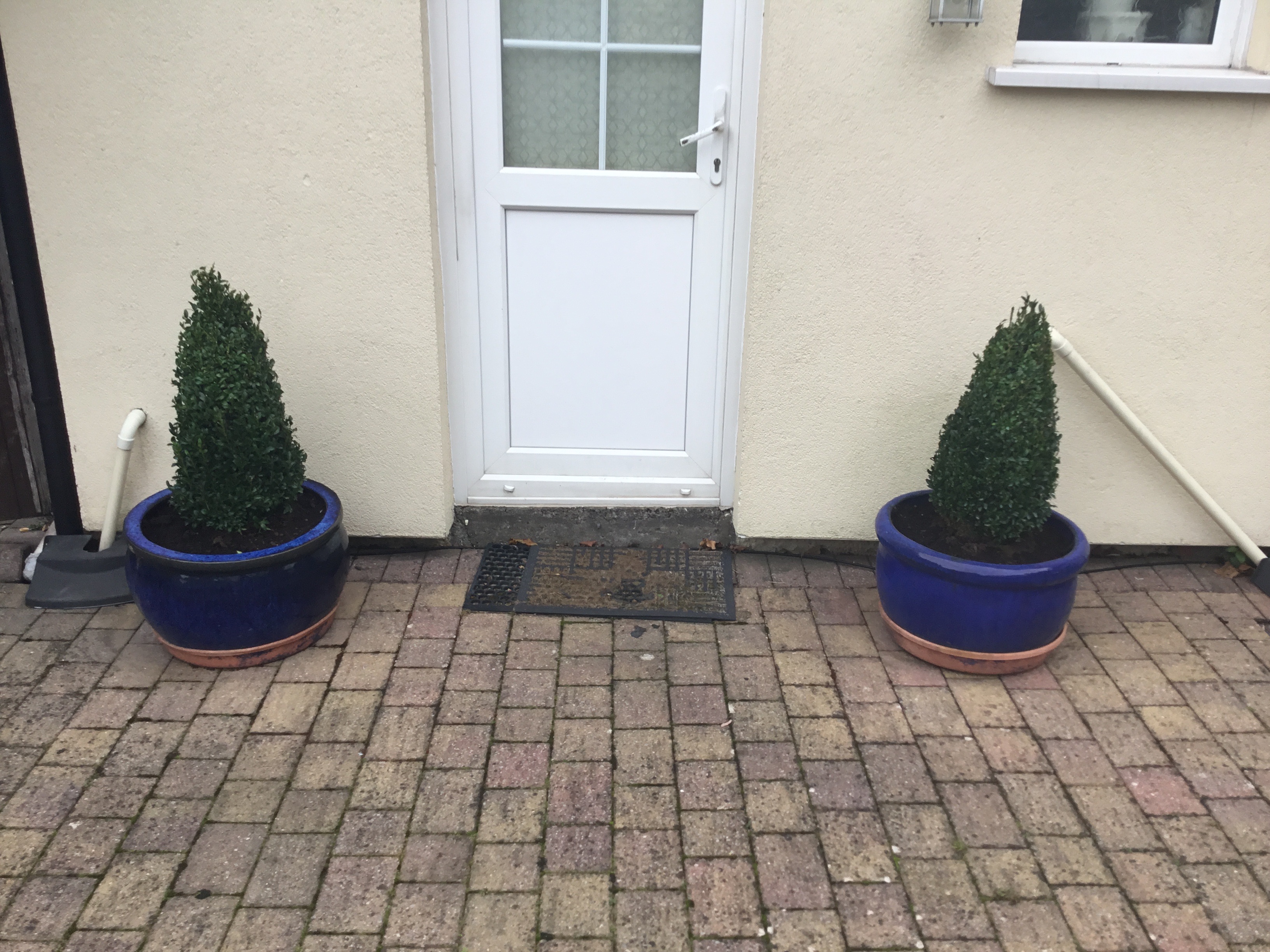 Customer photo