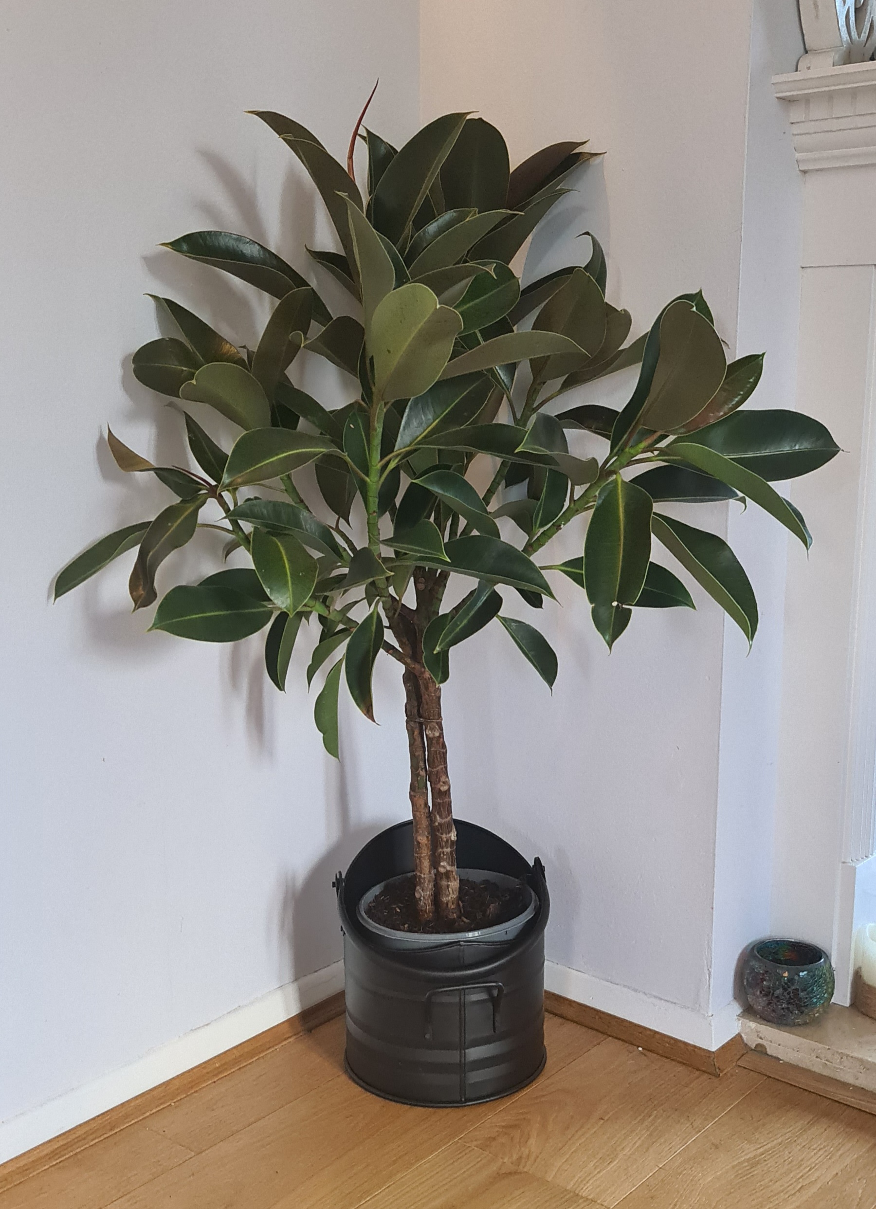 Customer photo