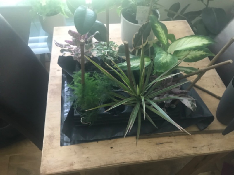 Customer photo
