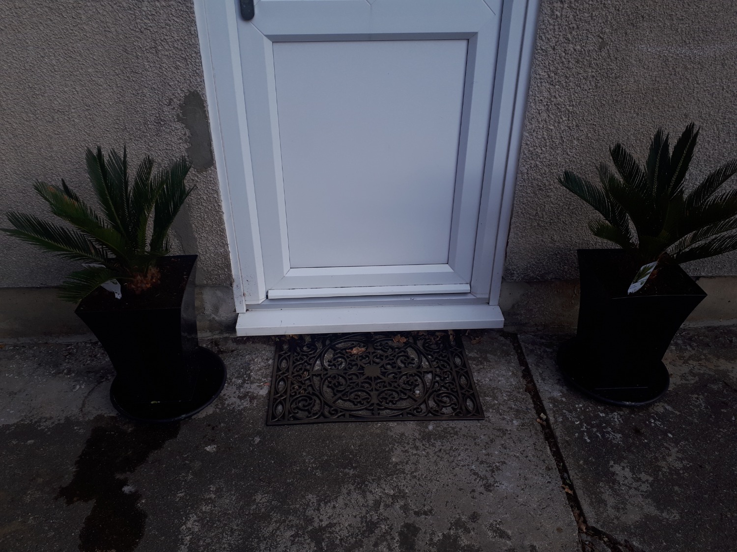 Review photo for 
