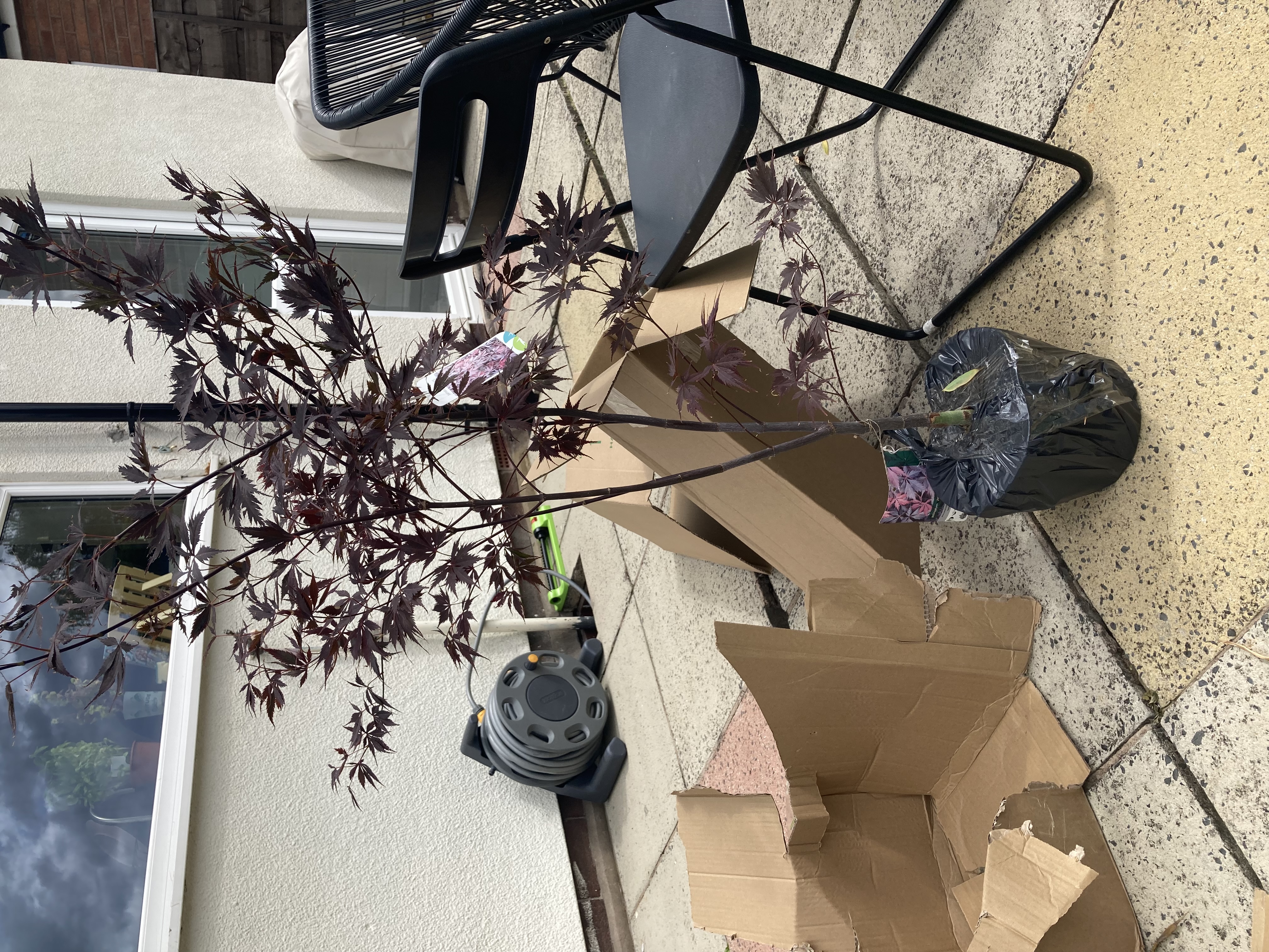 Customer photo