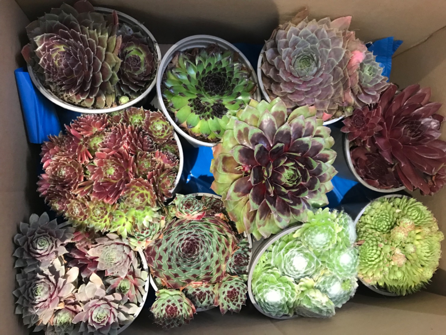 Review photo for 