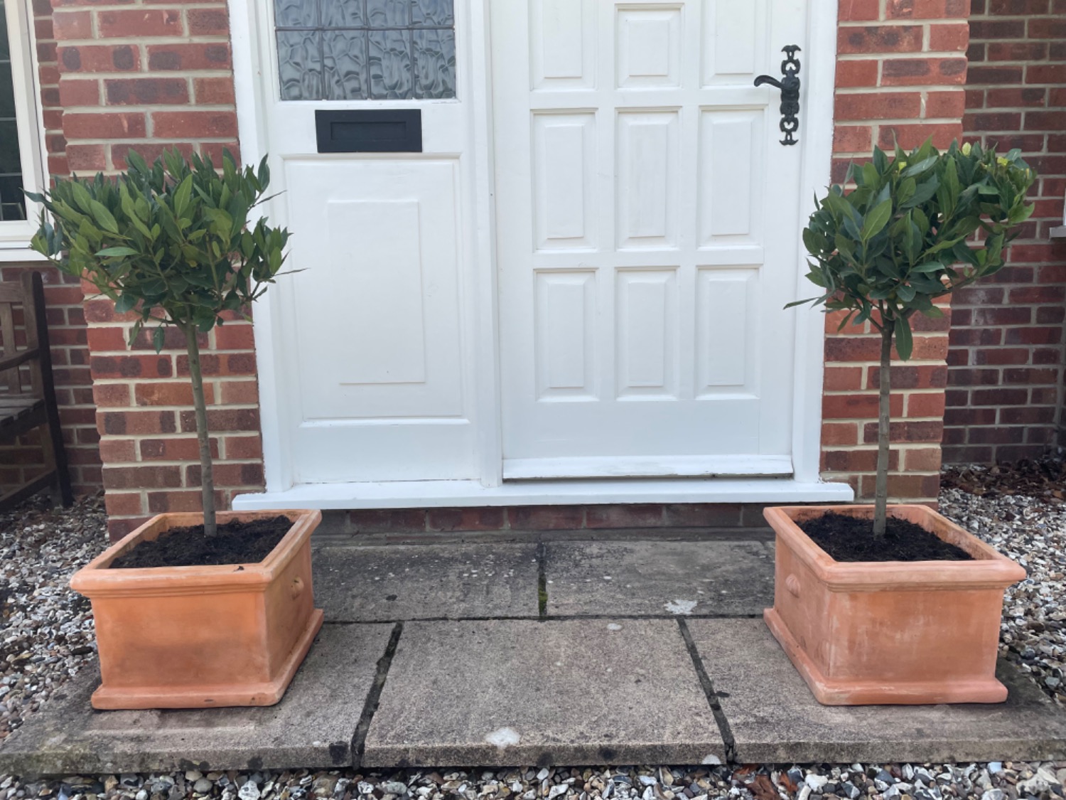 Customer photo