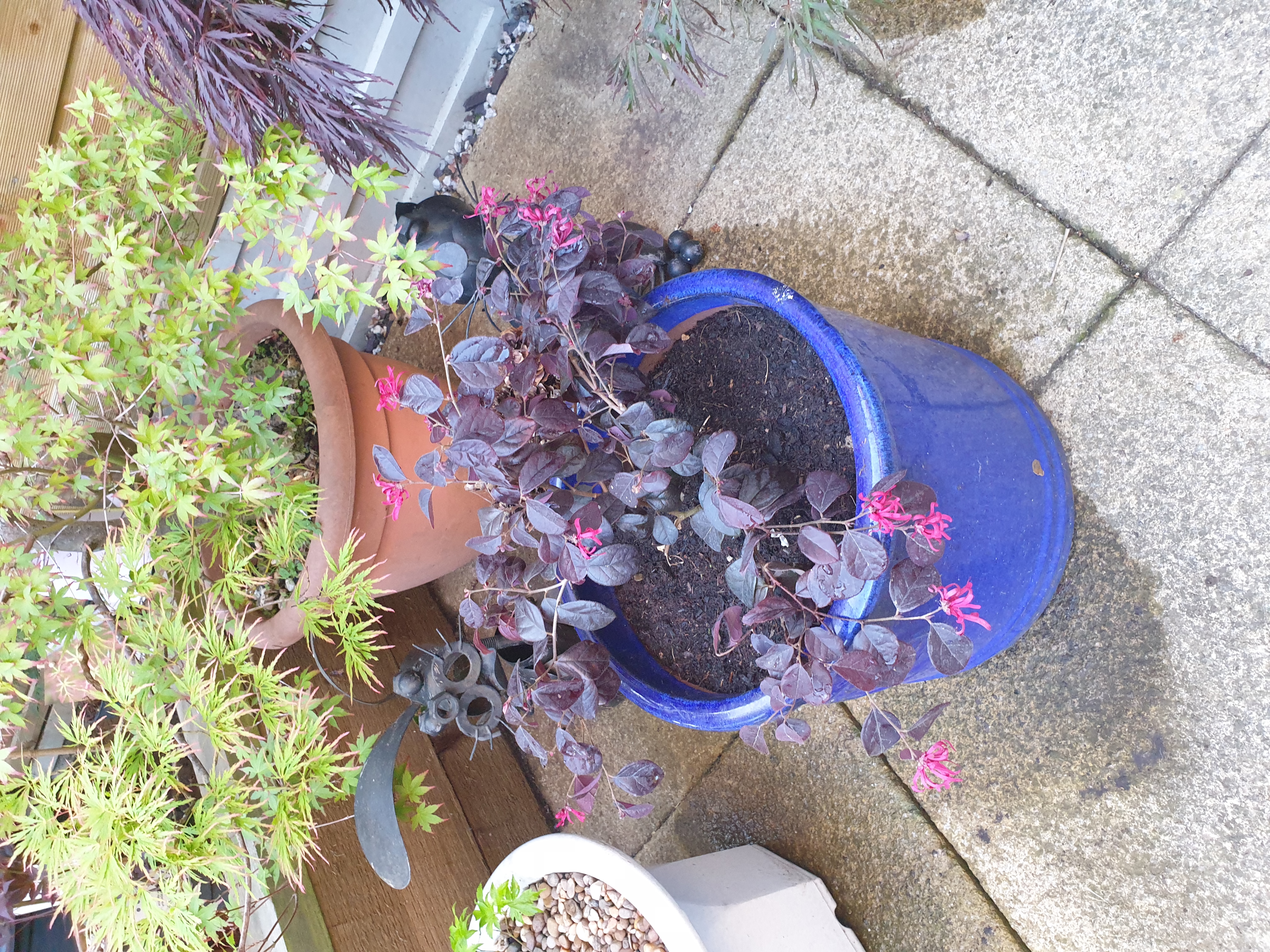 Customer photo