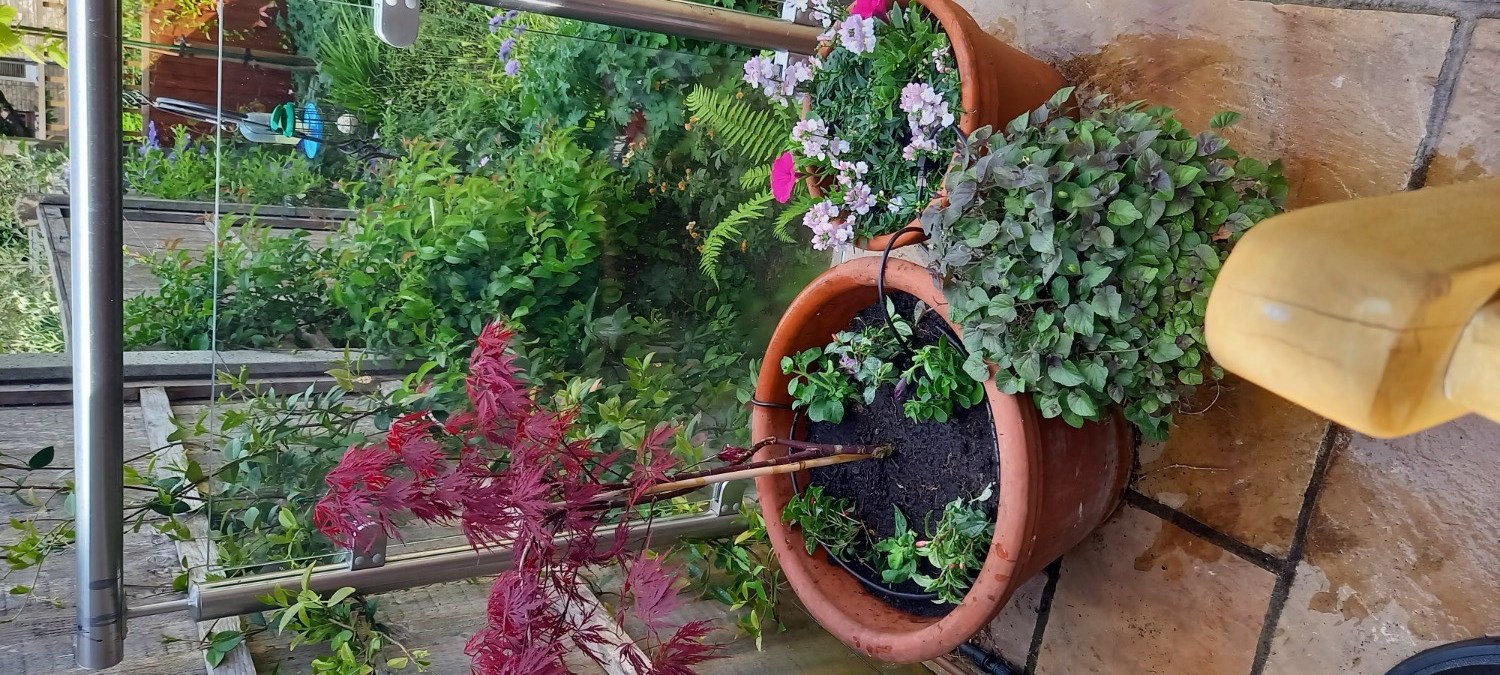 Customer photo