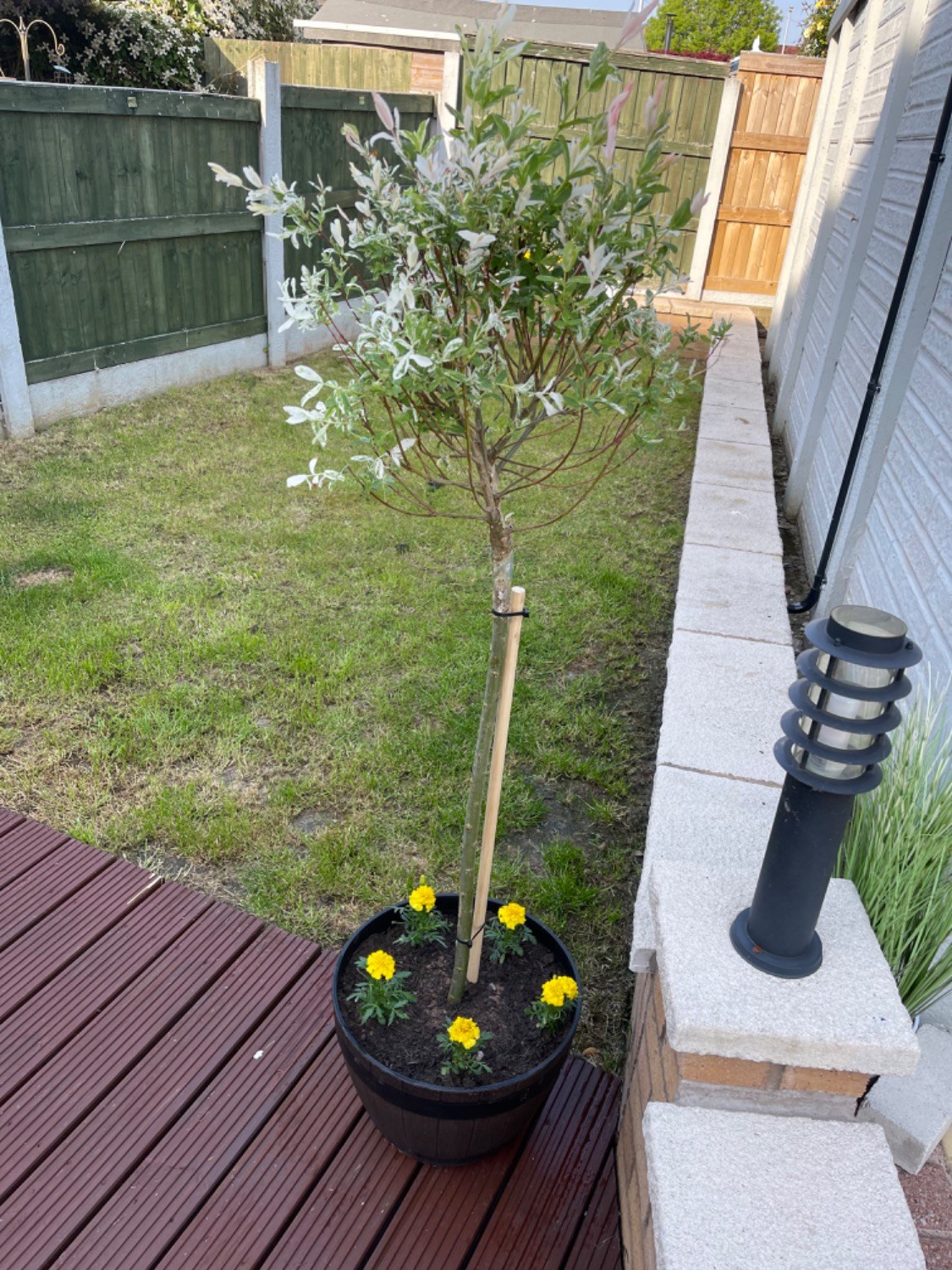 Customer photo