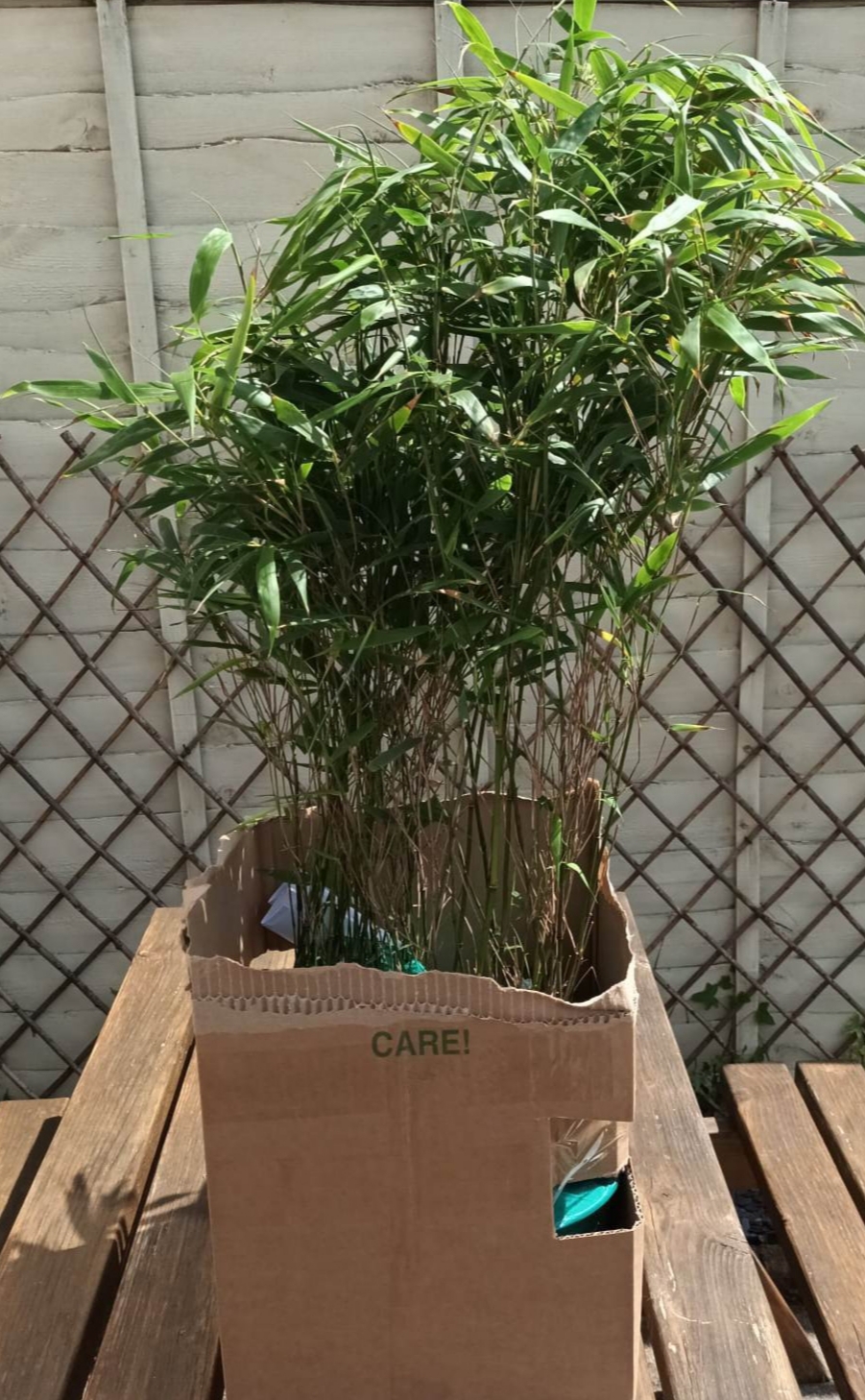 Customer photo