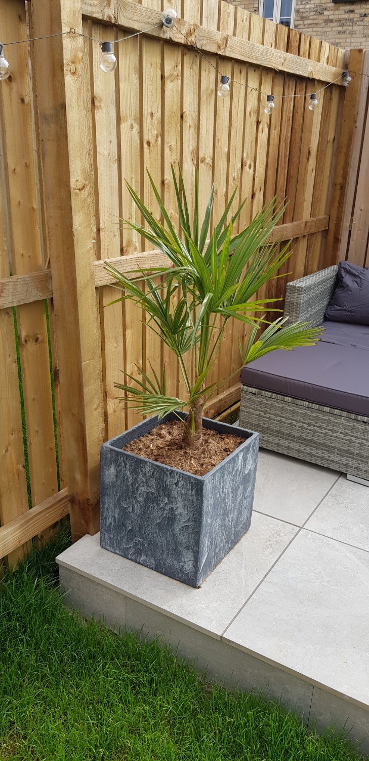 Customer photo