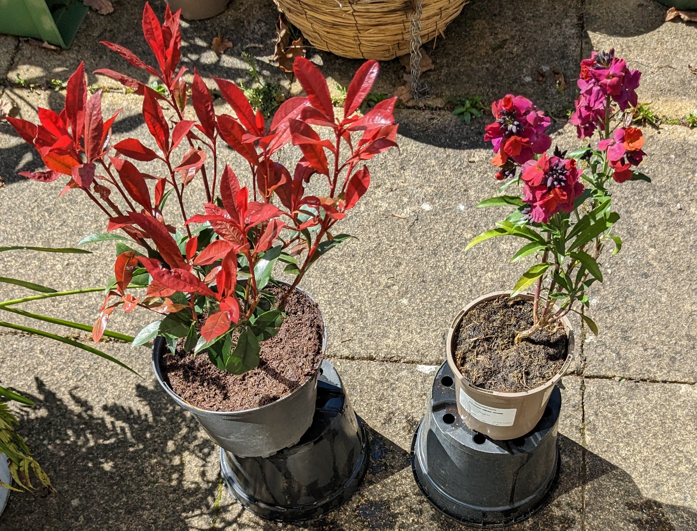 Customer photo