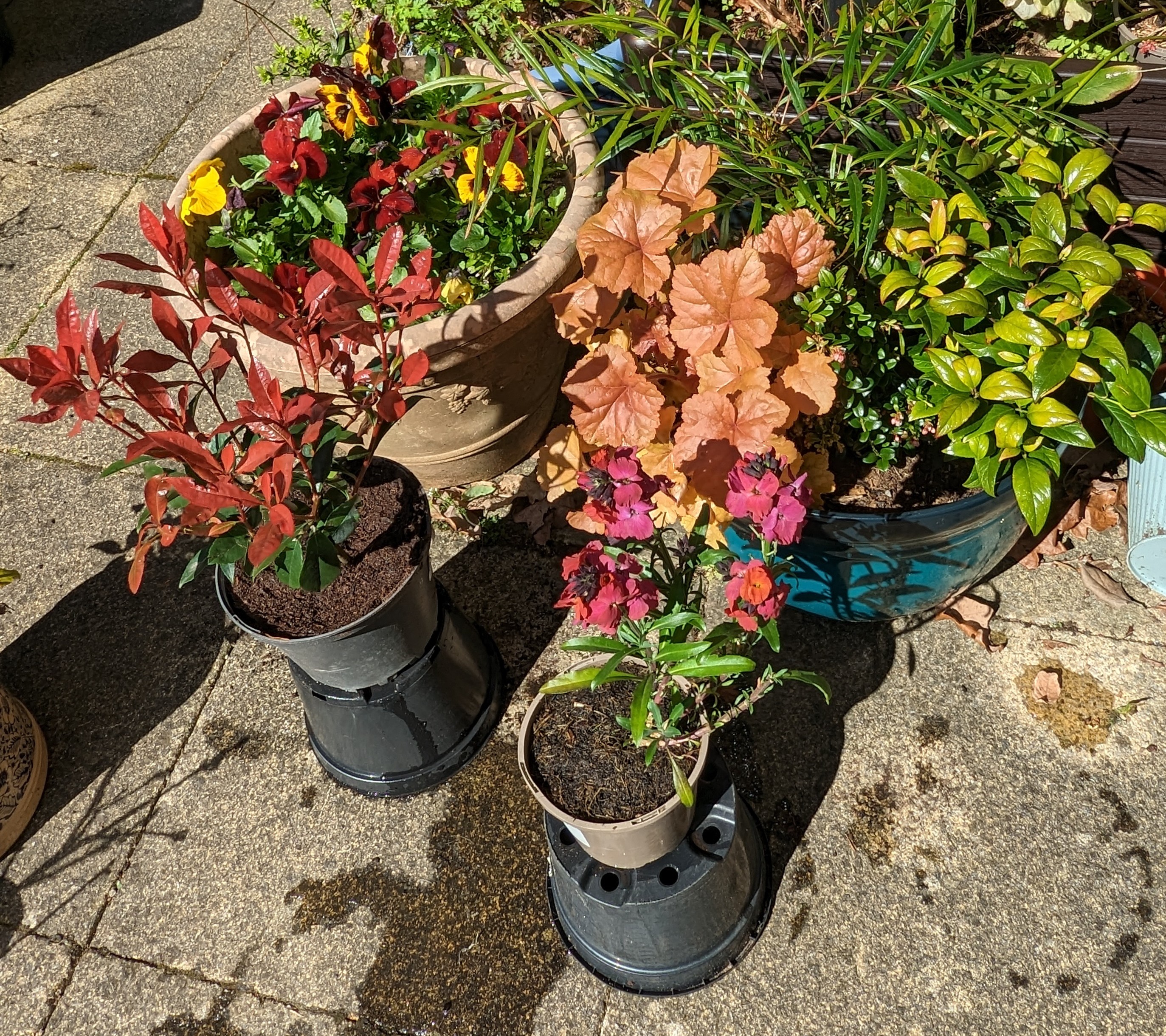Customer photo