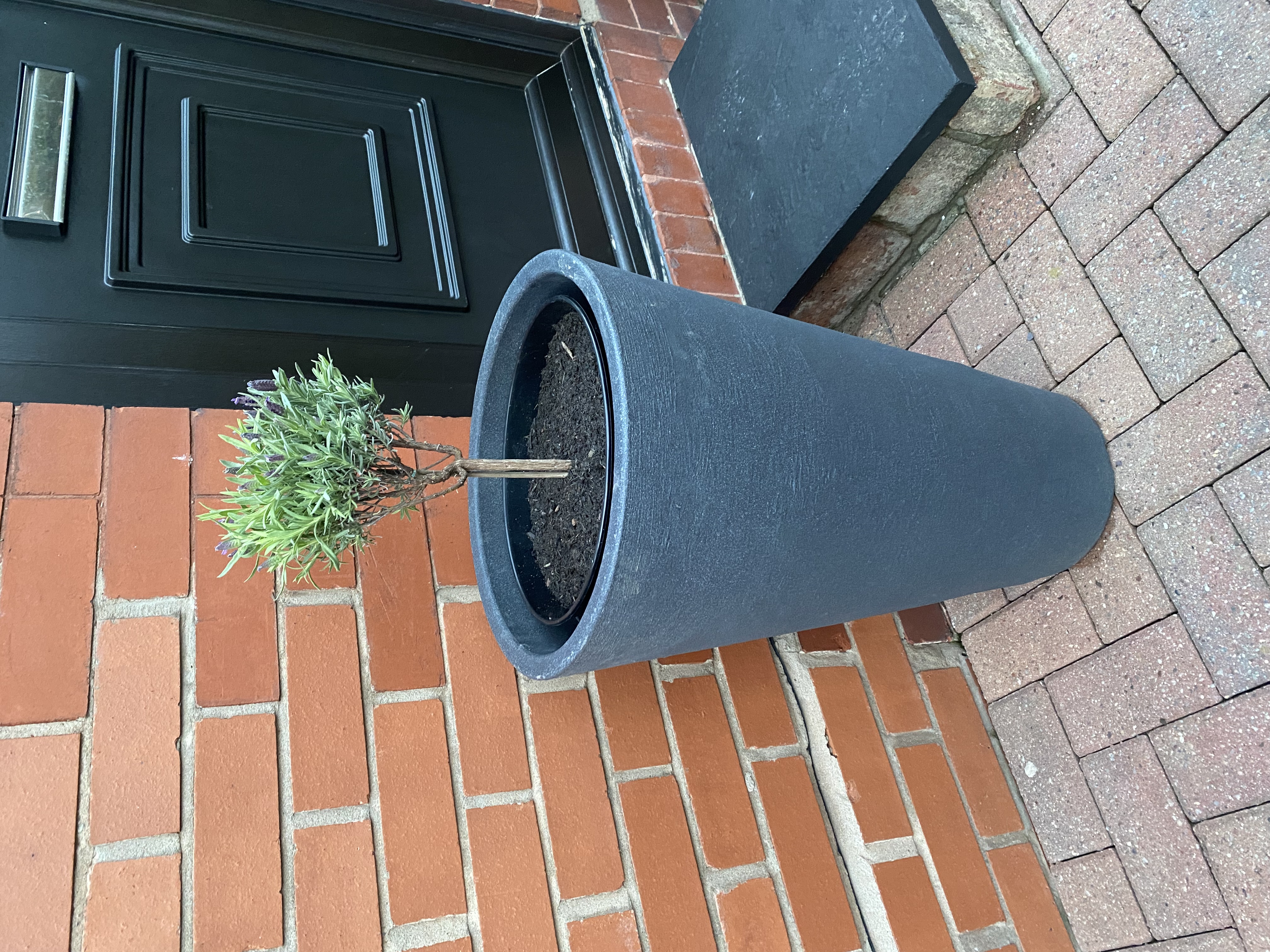 Customer photo