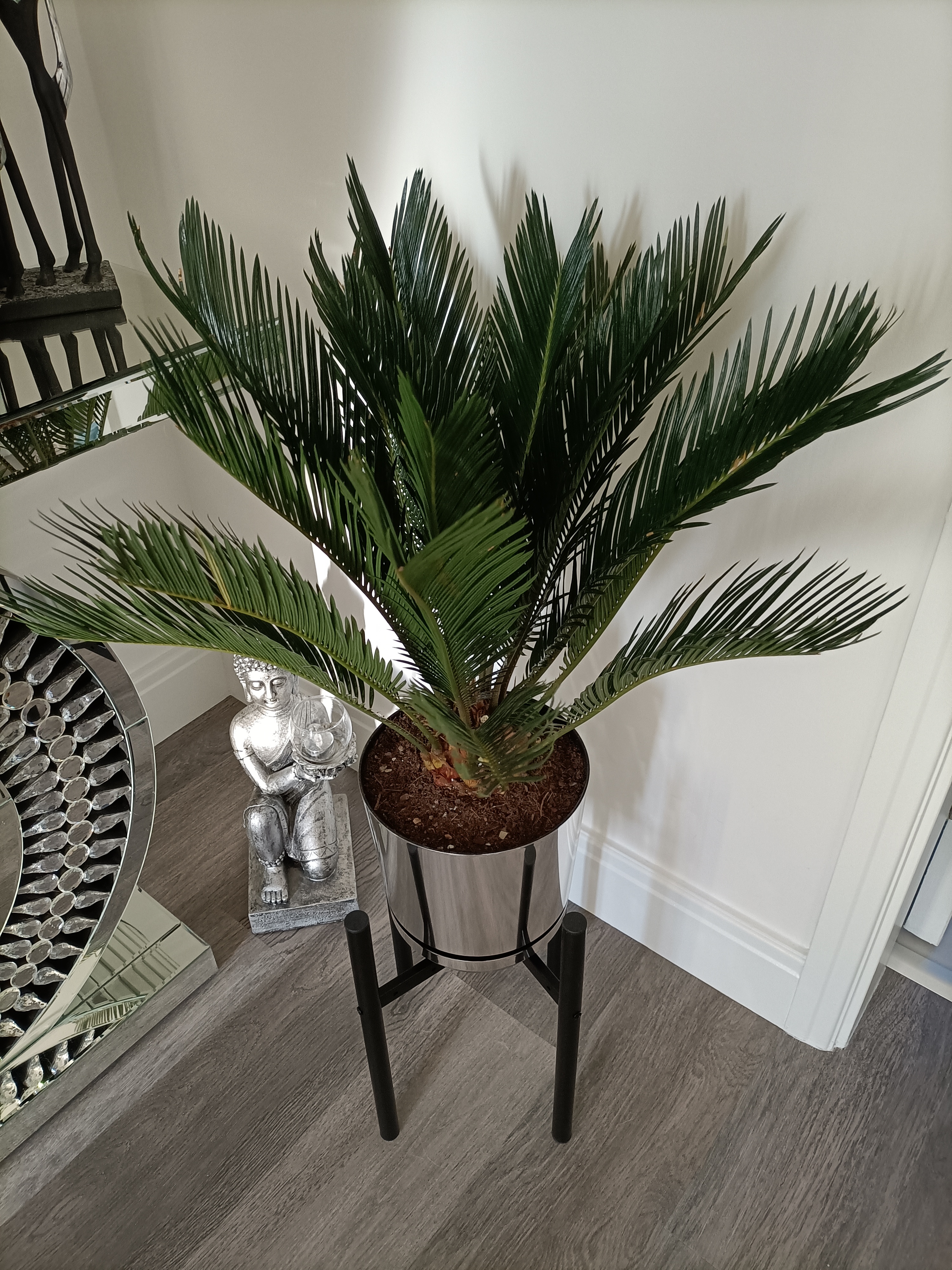 Customer photo