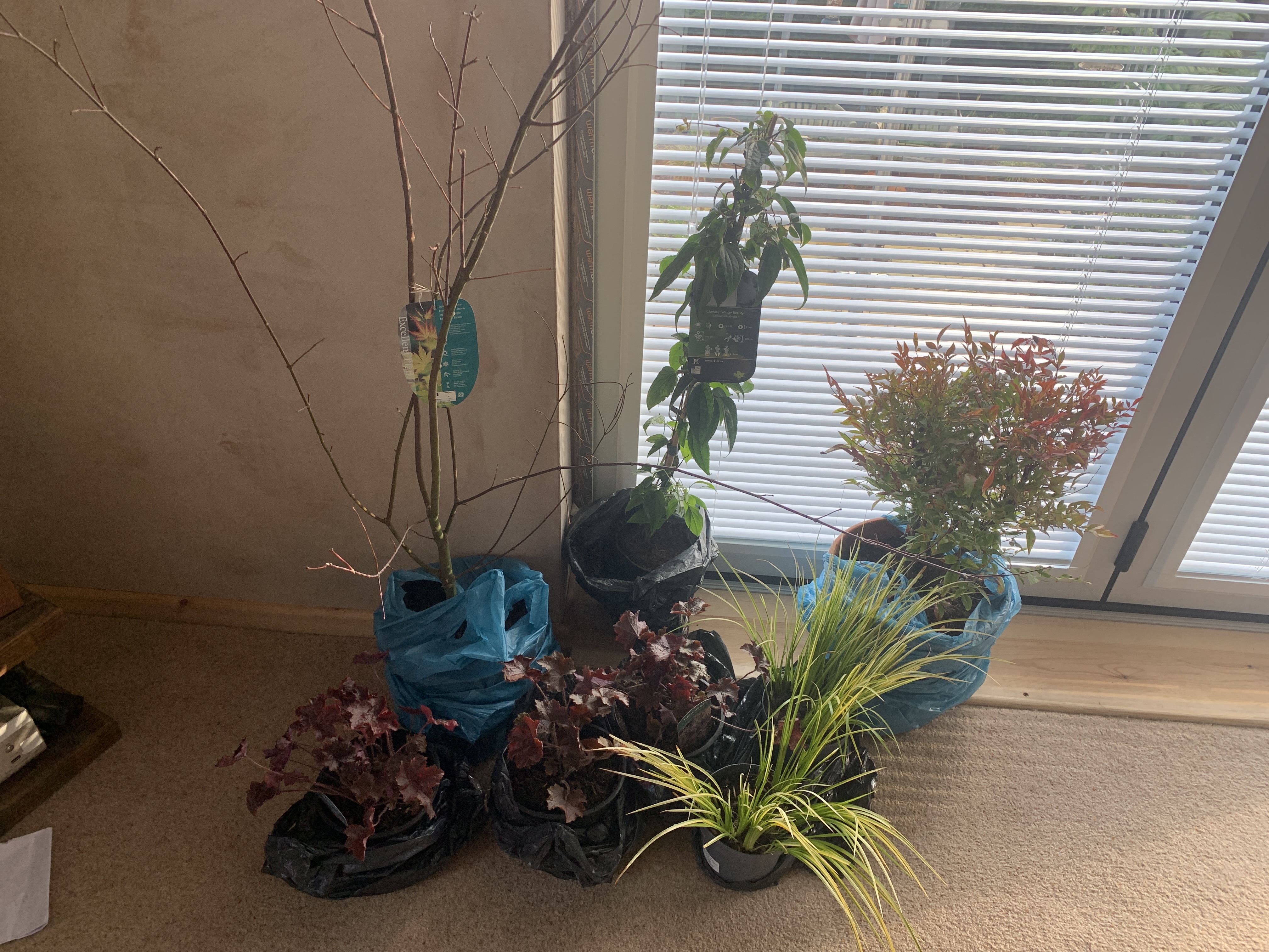Customer photo