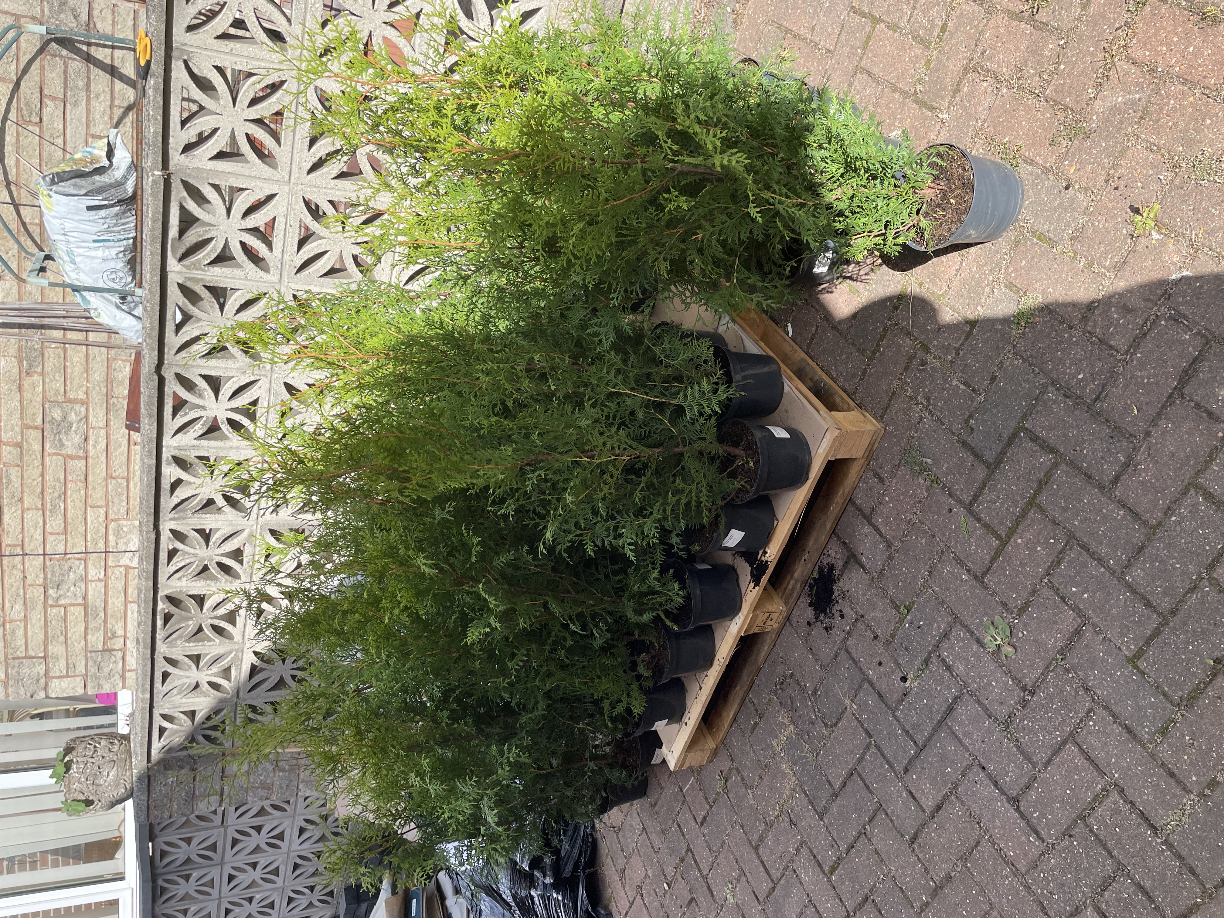 Customer photo