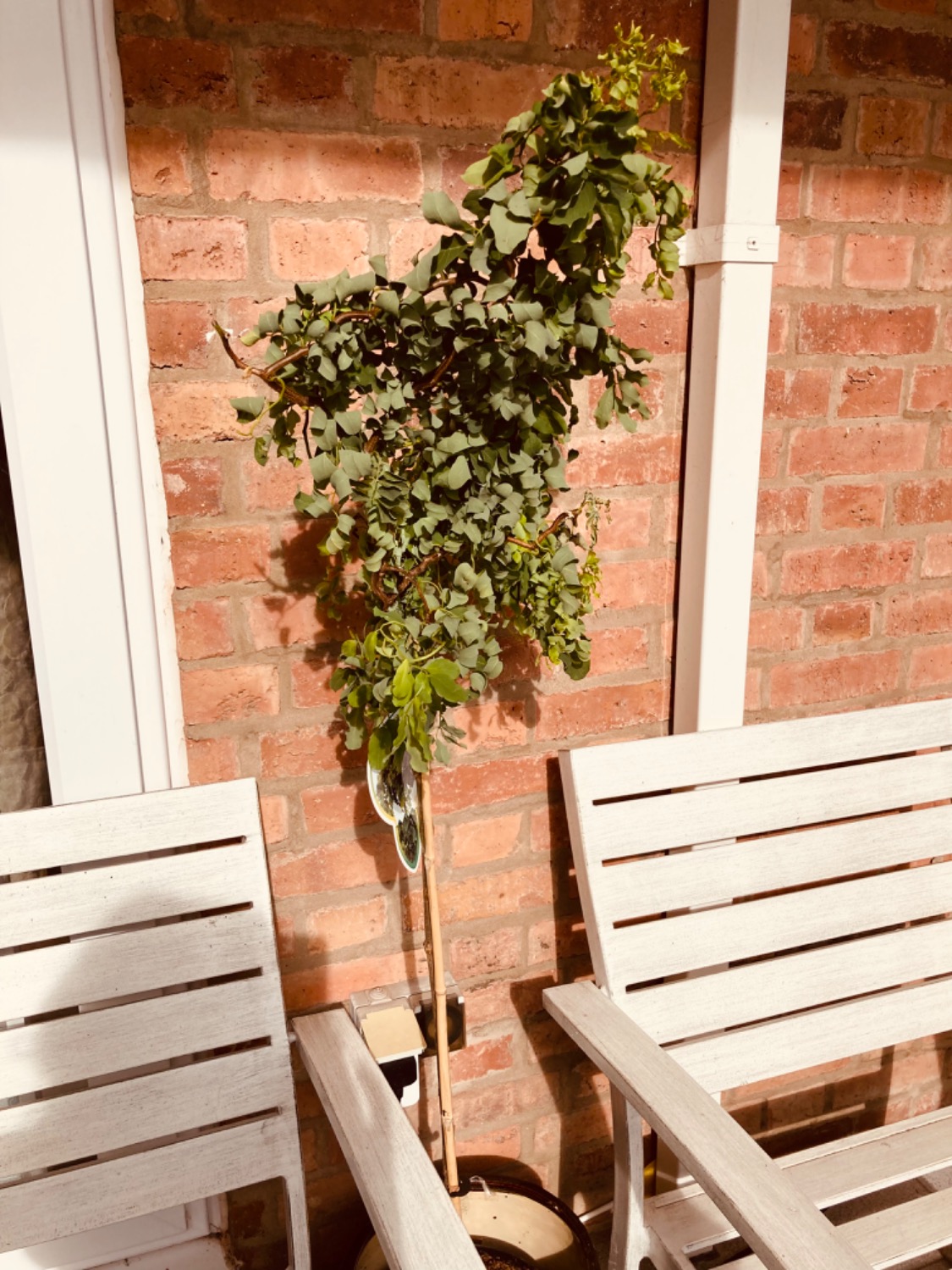 Customer photo