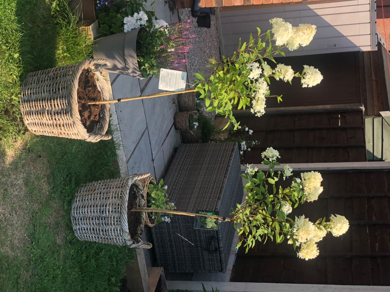 Customer photo