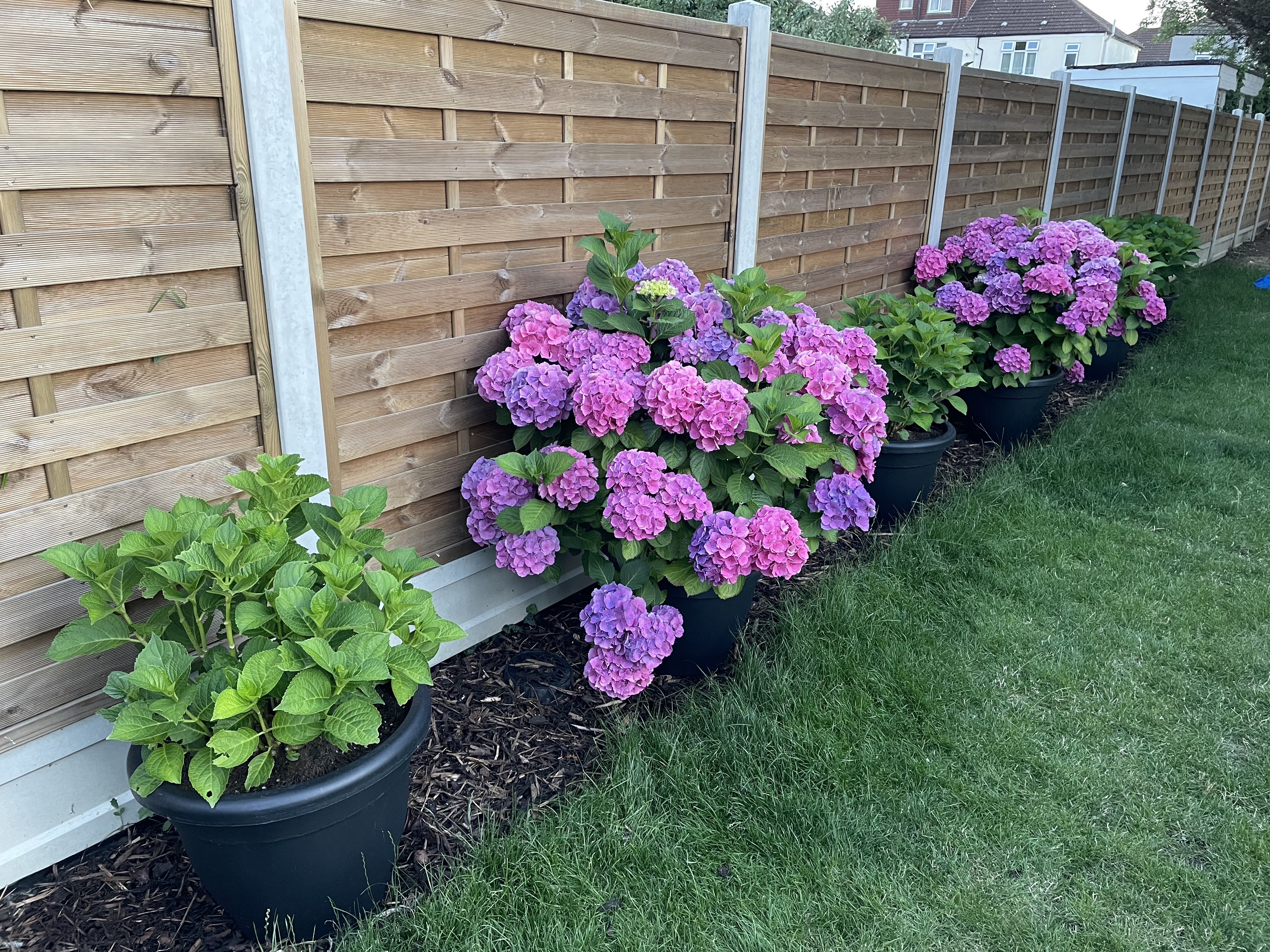 Customer photo