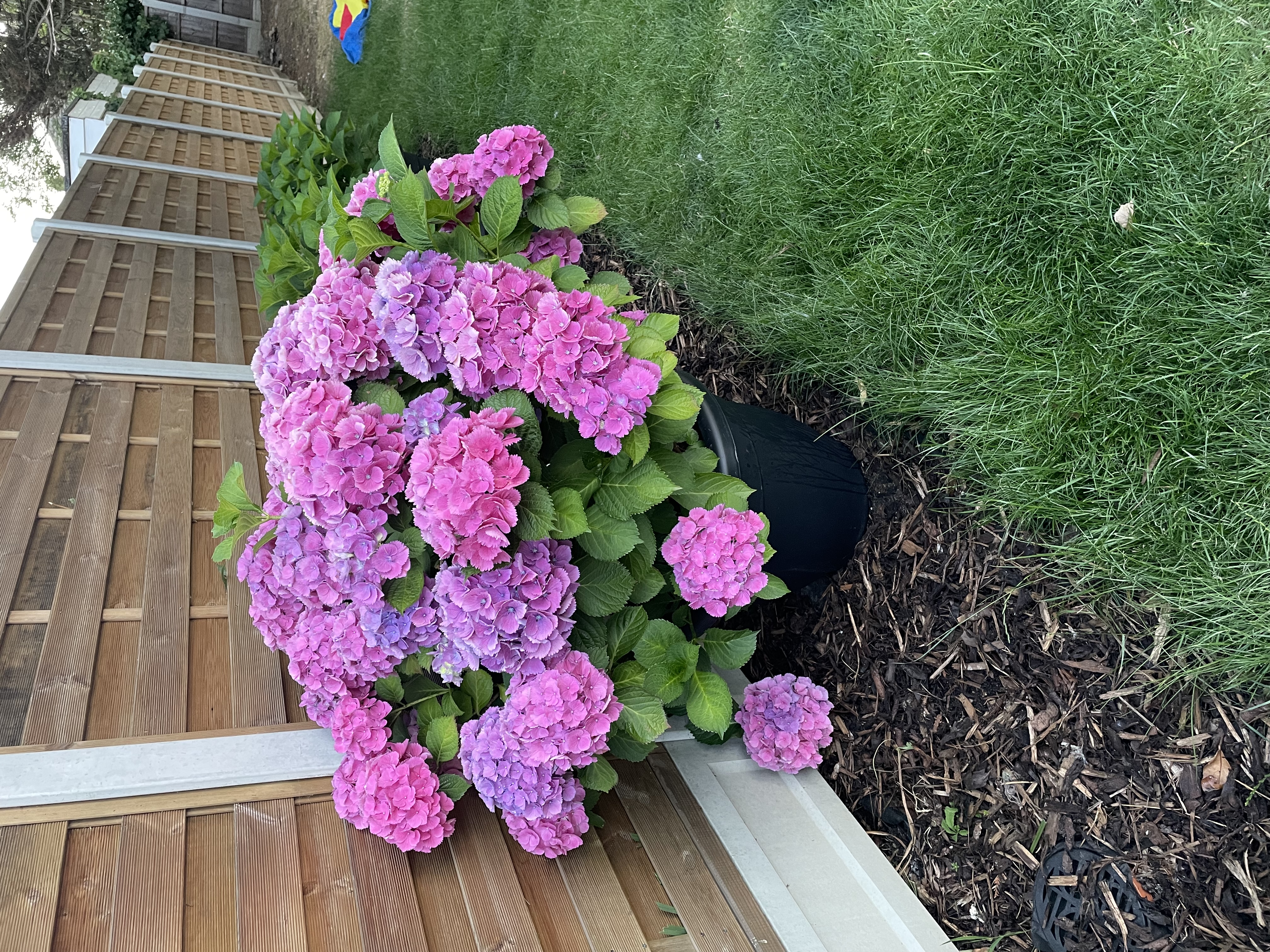 Customer photo