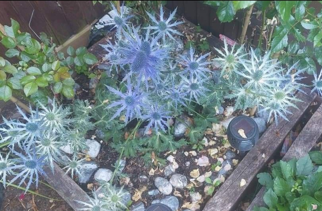 Customer photo