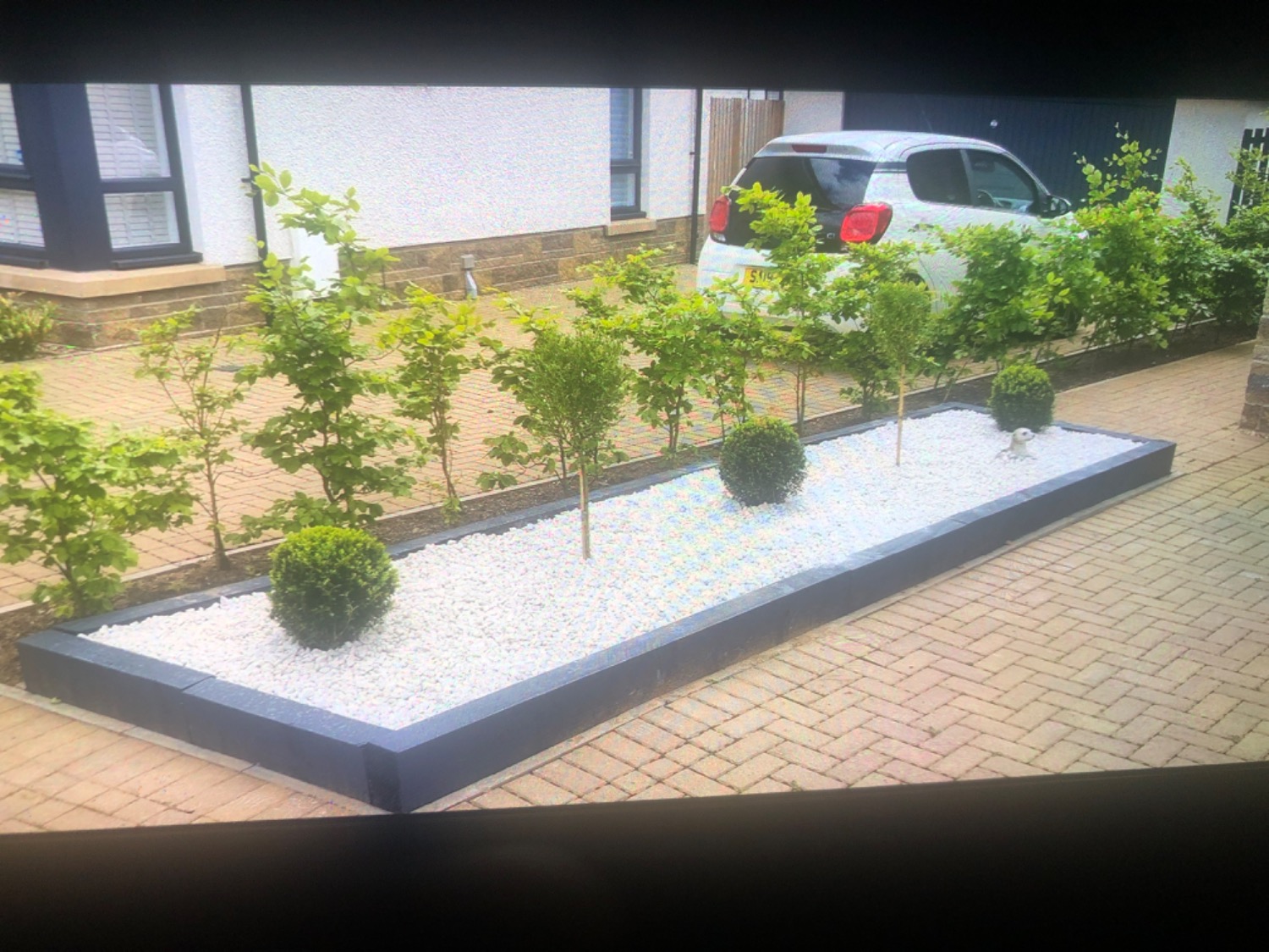 Customer photo