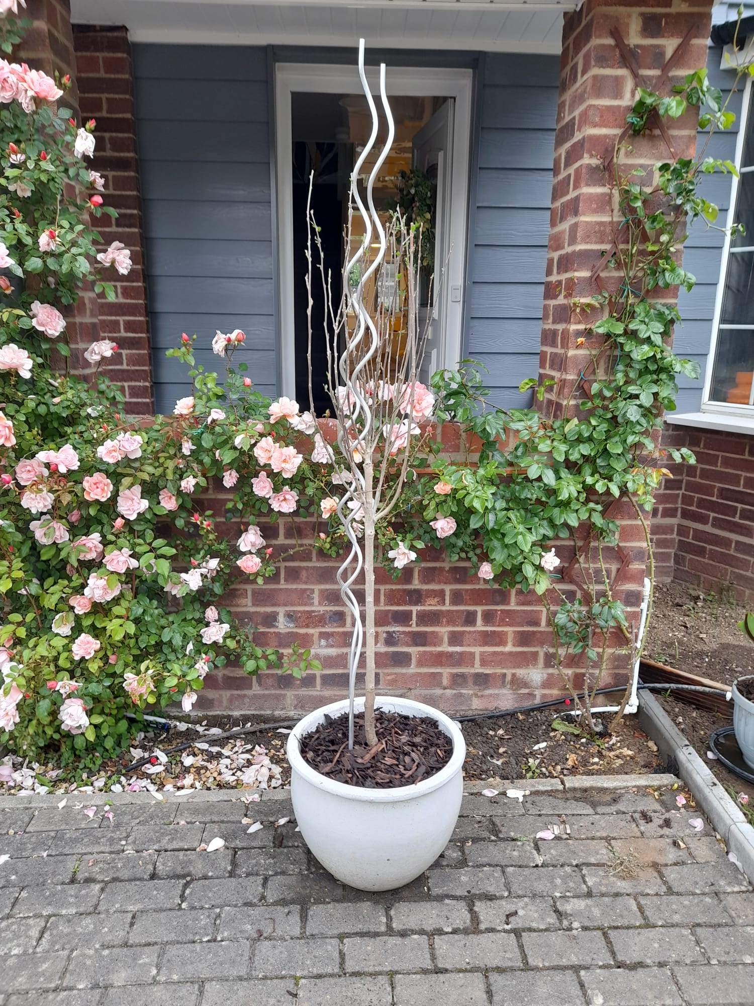 Customer photo