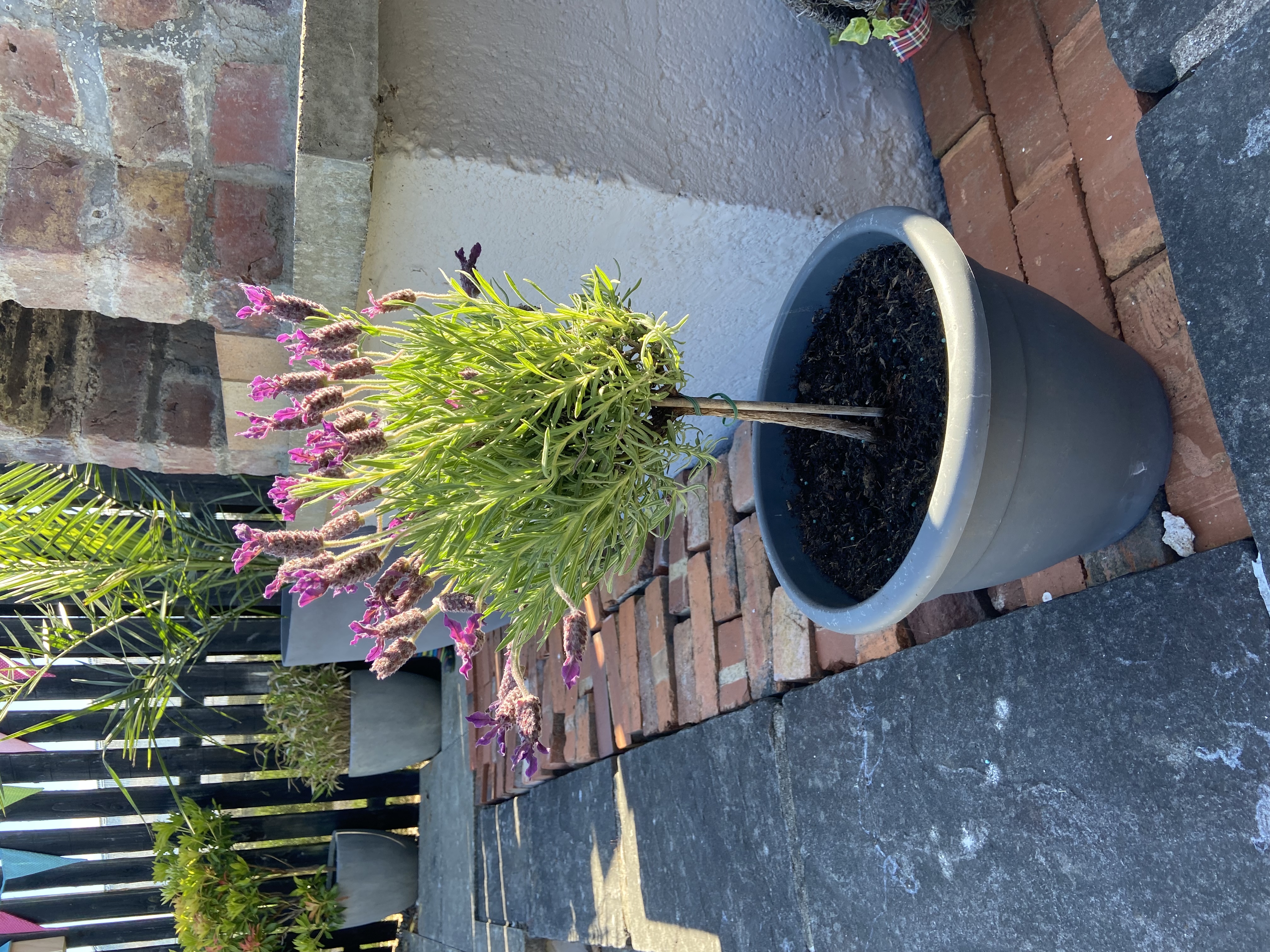 Customer photo