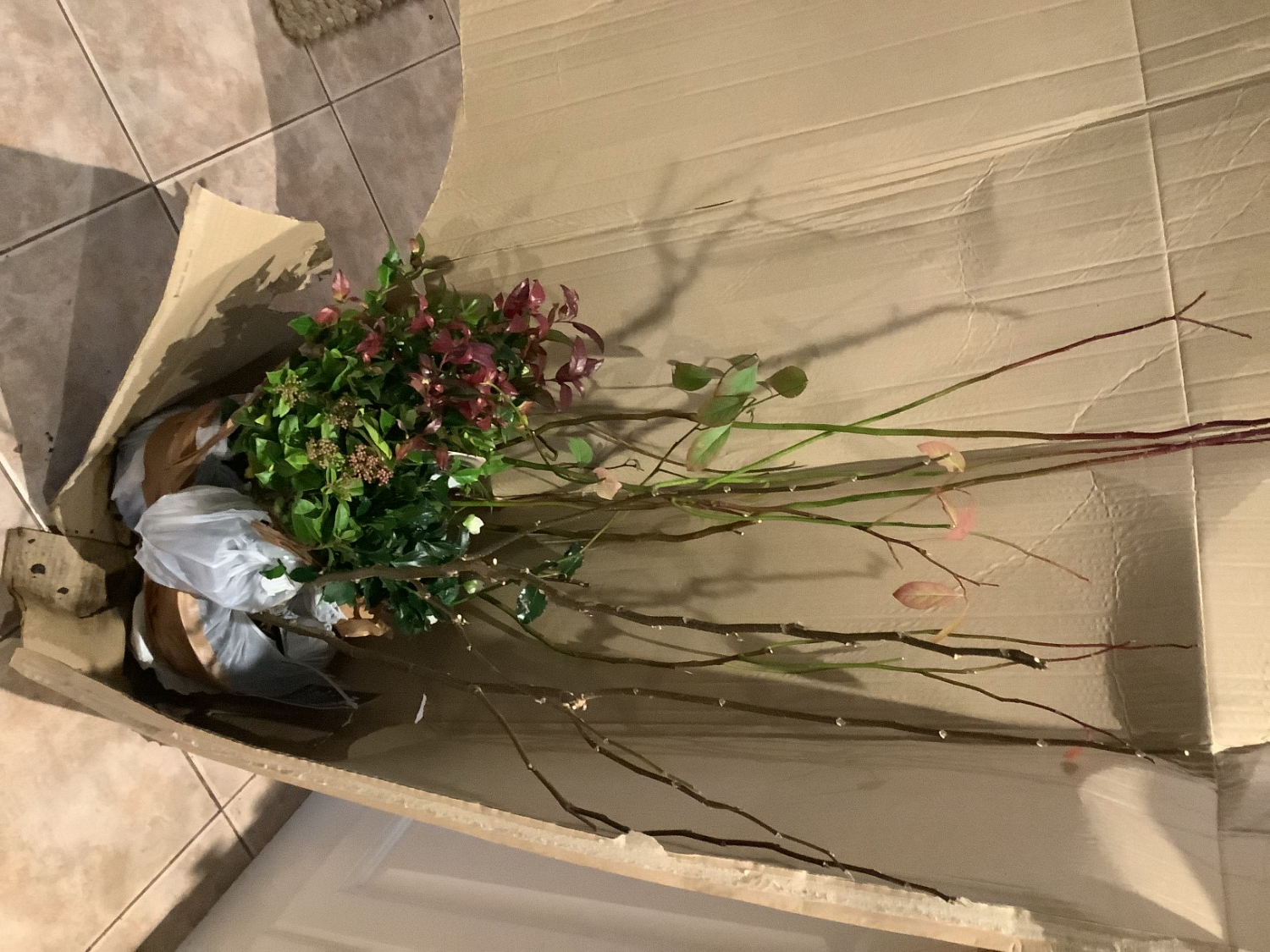Customer photo