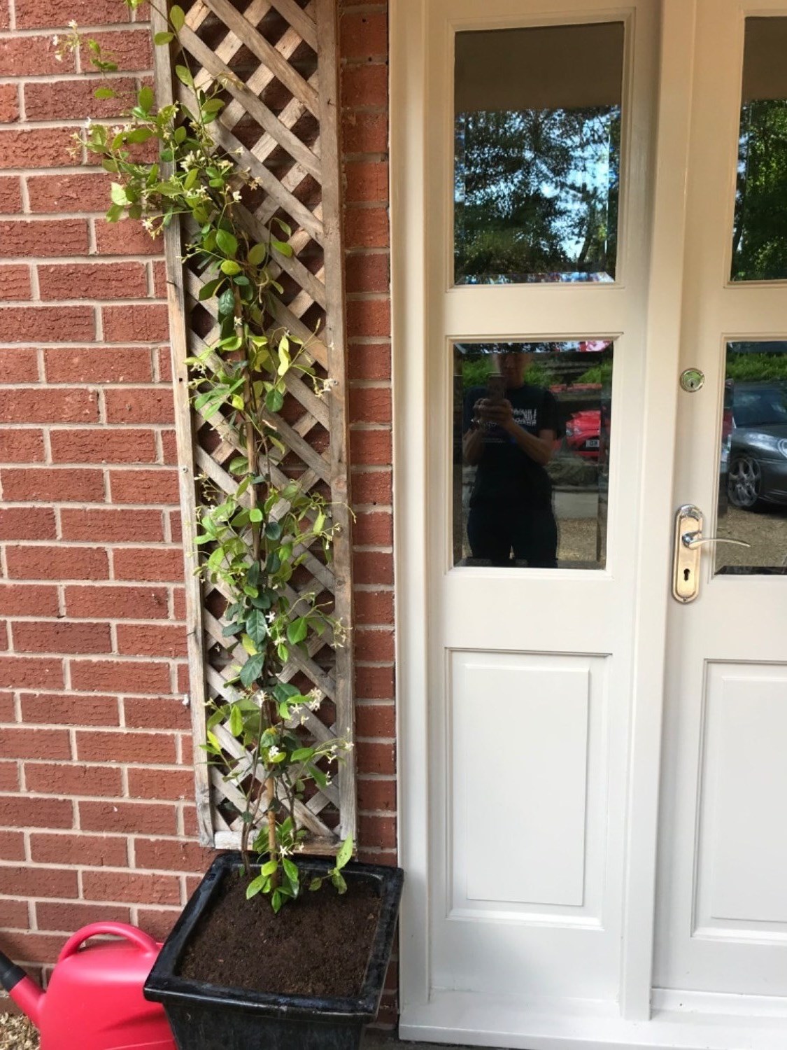 Customer photo