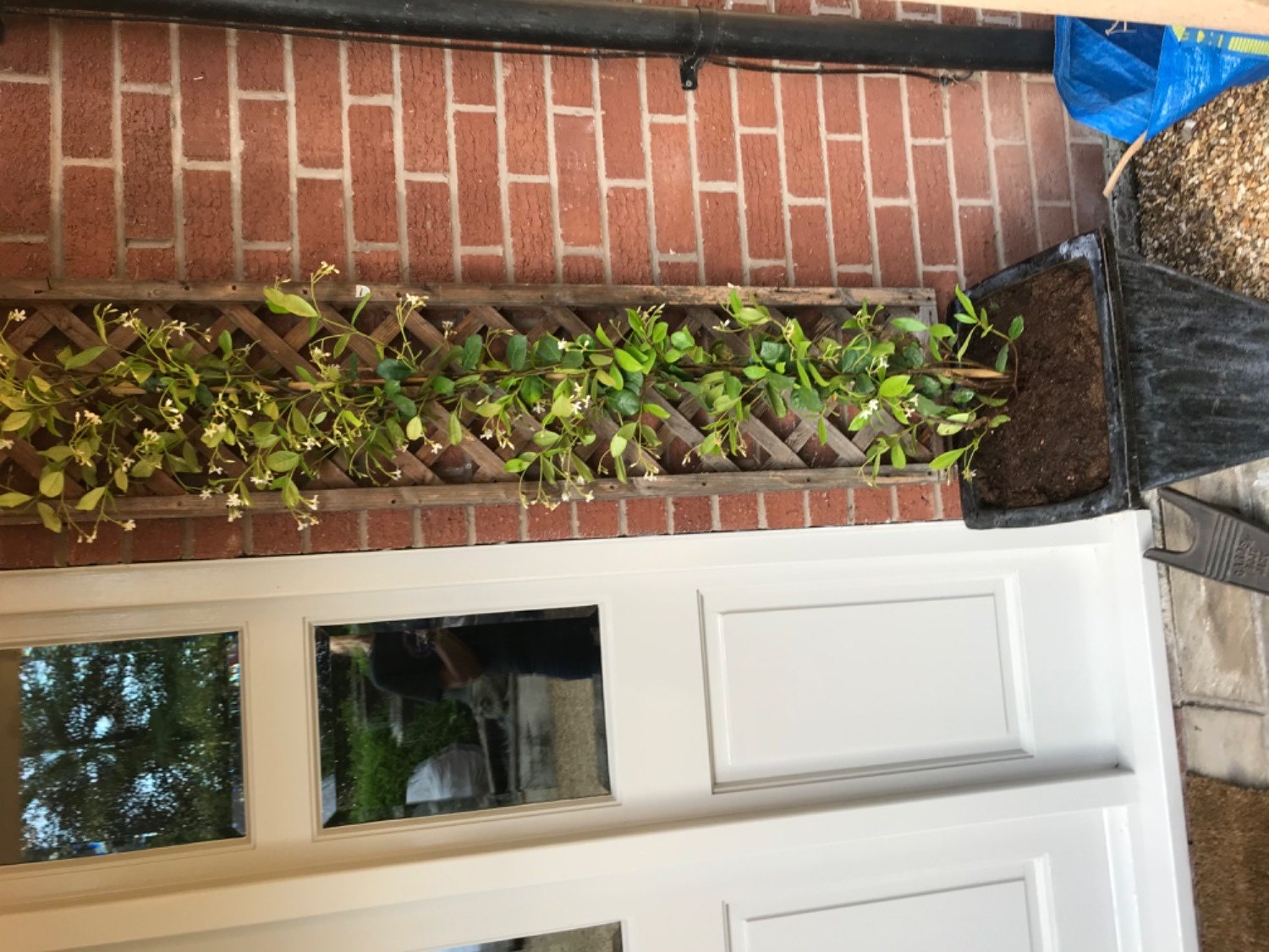 Customer photo
