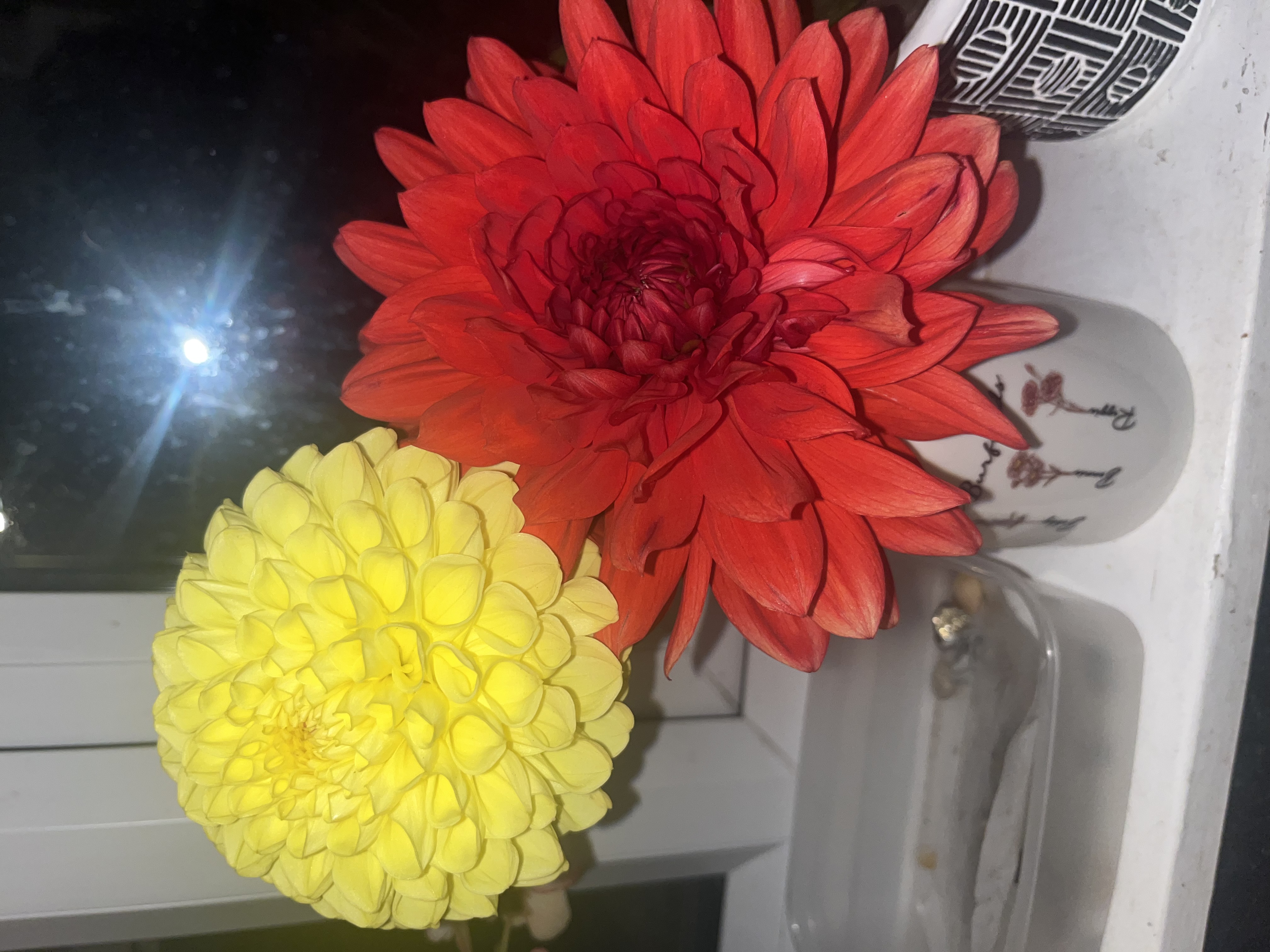 Customer photo