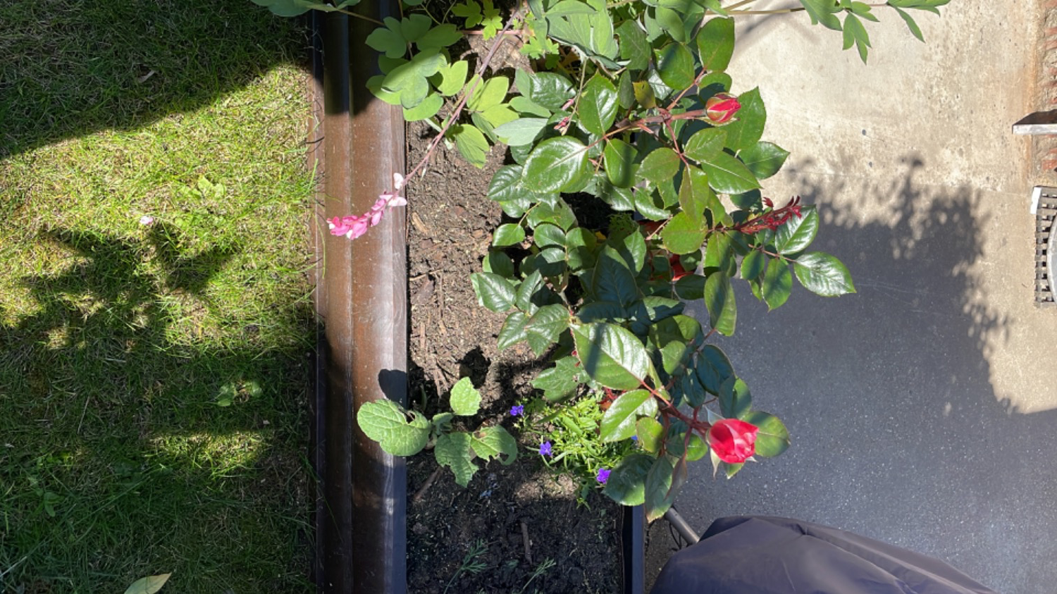 Customer photo