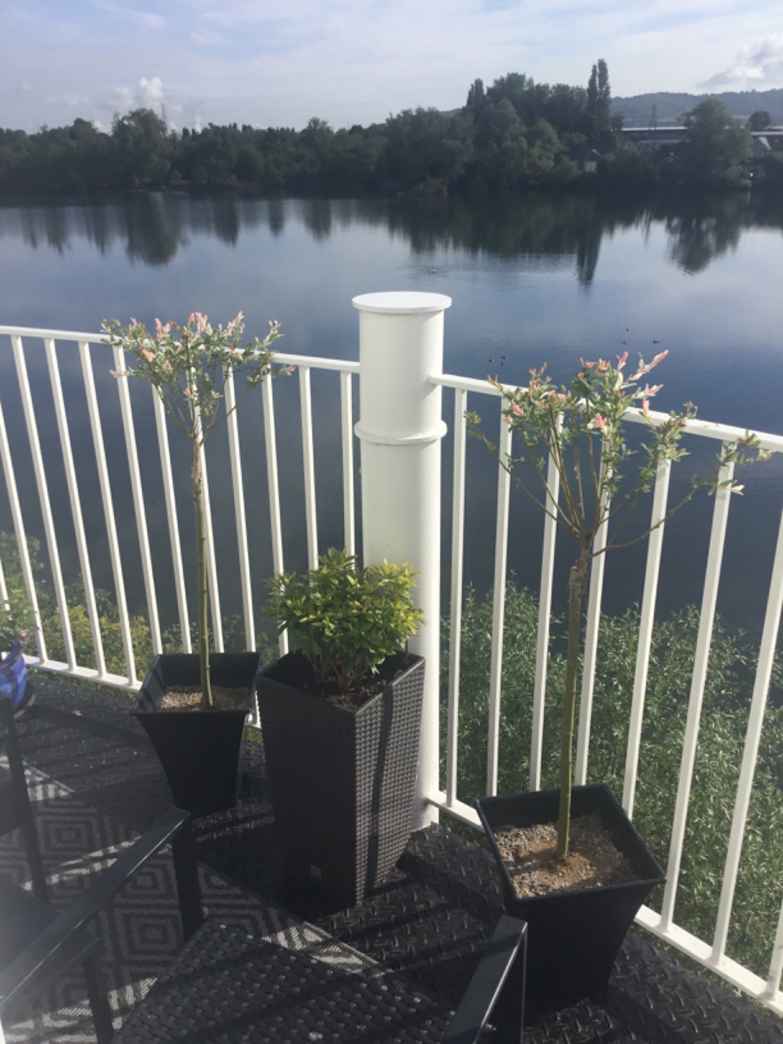 Customer photo