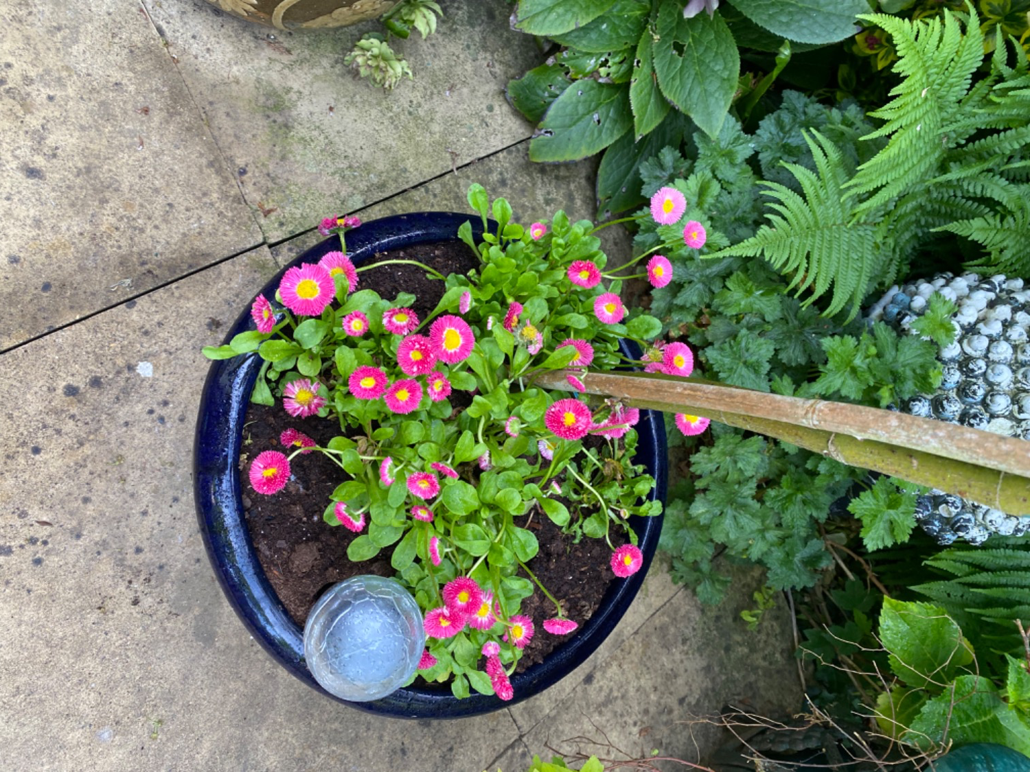Customer photo