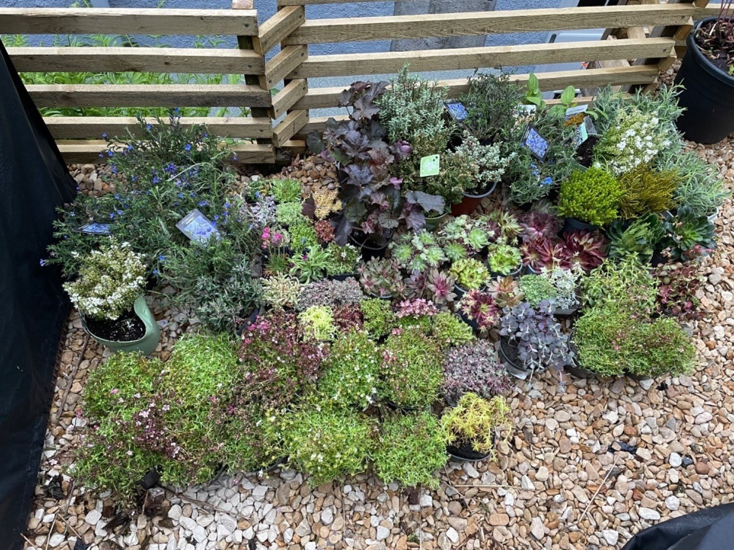 Customer photo