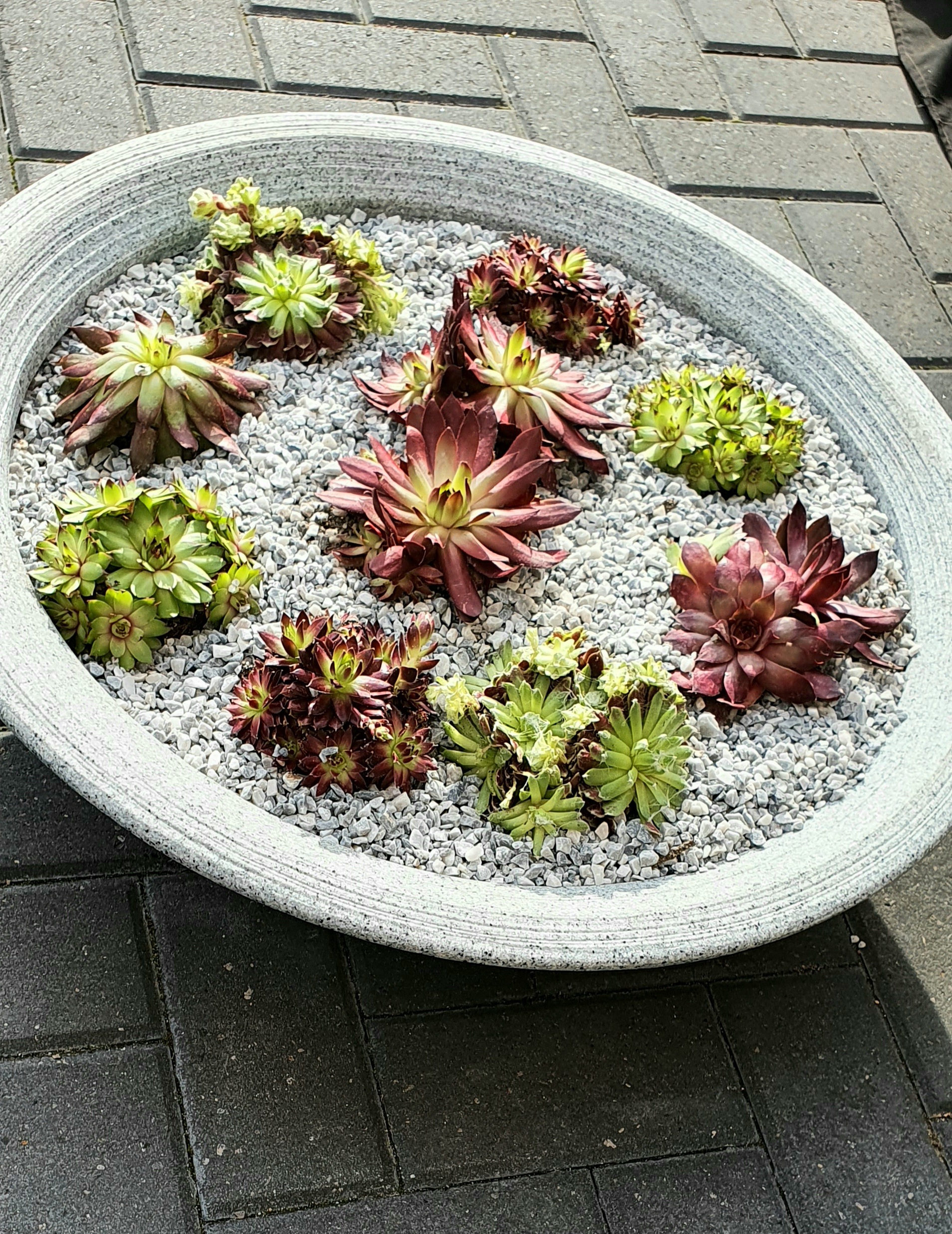 Customer photo