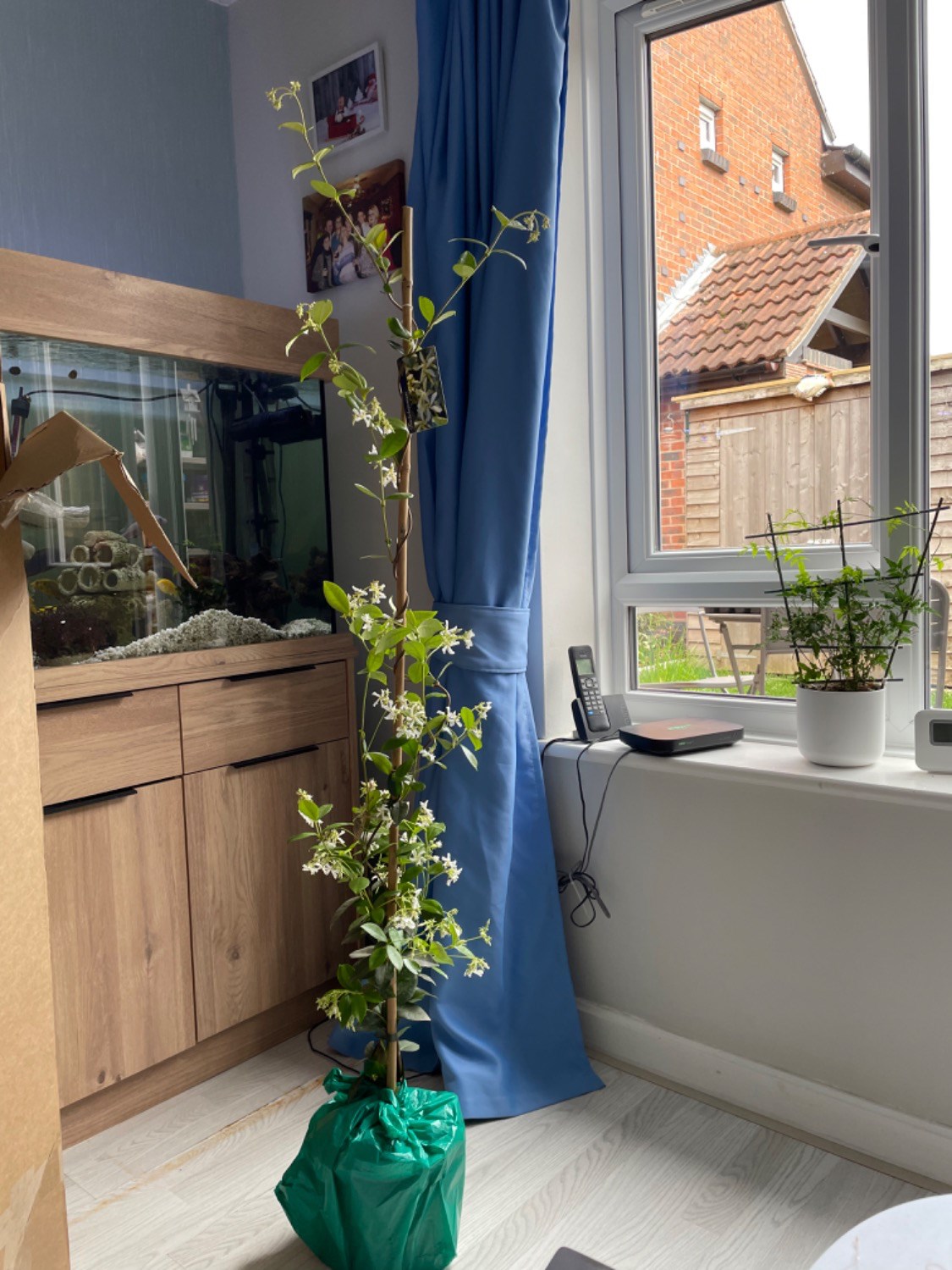 Customer photo