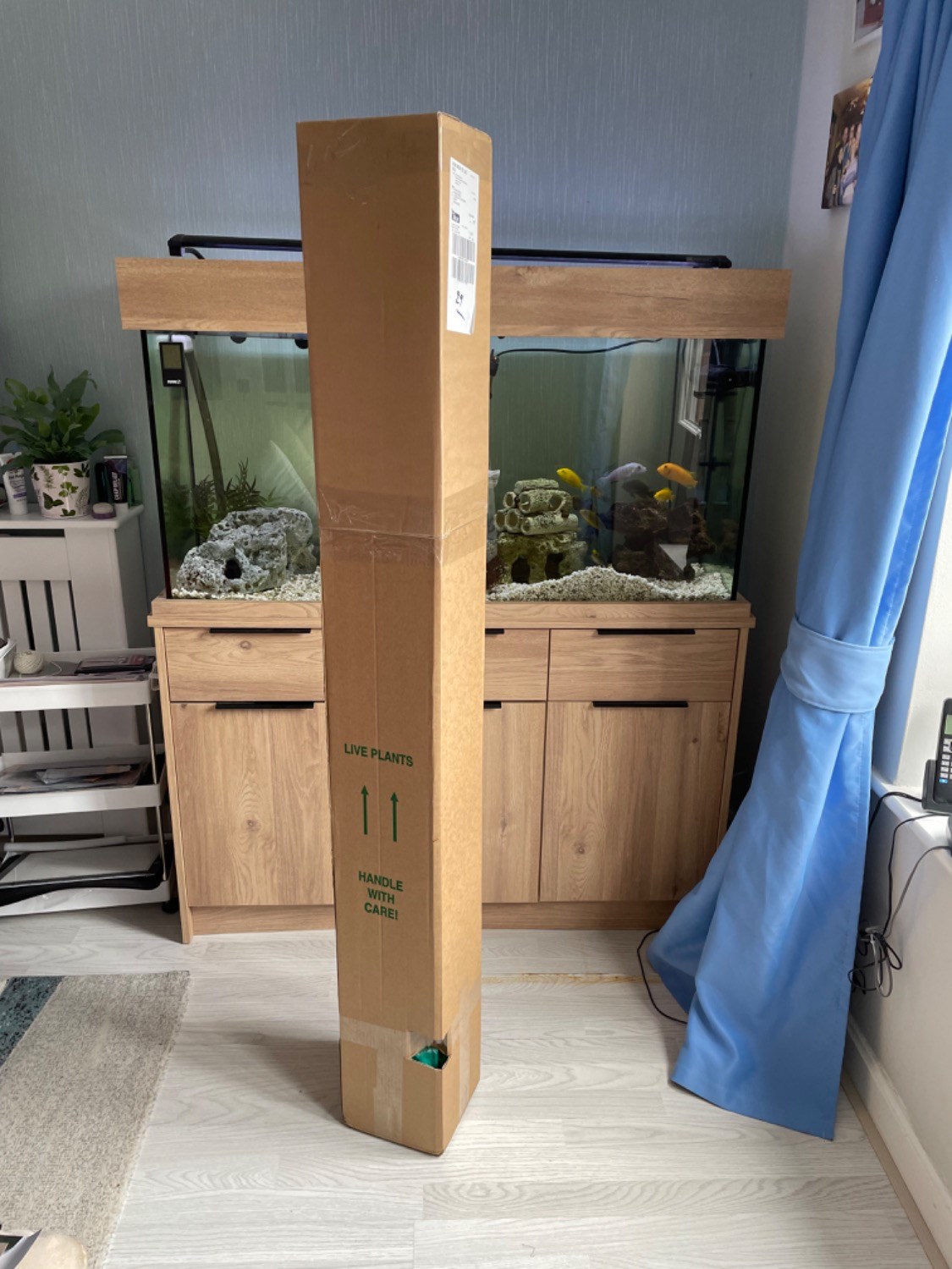 Customer photo