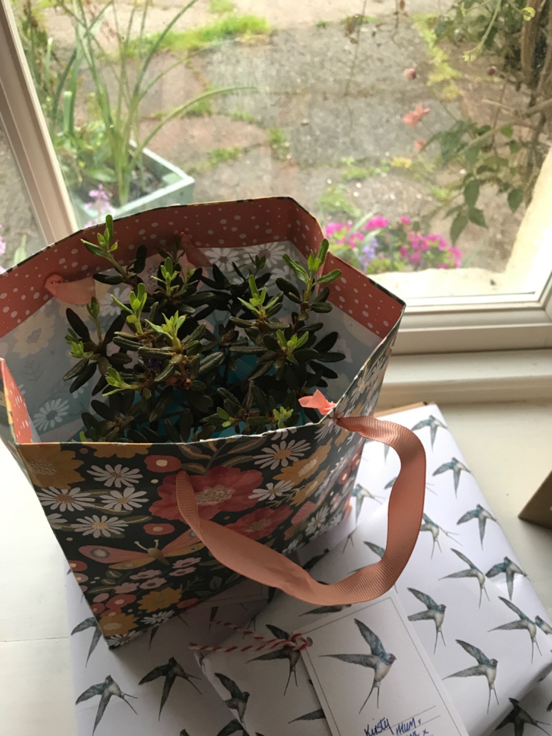 Customer photo