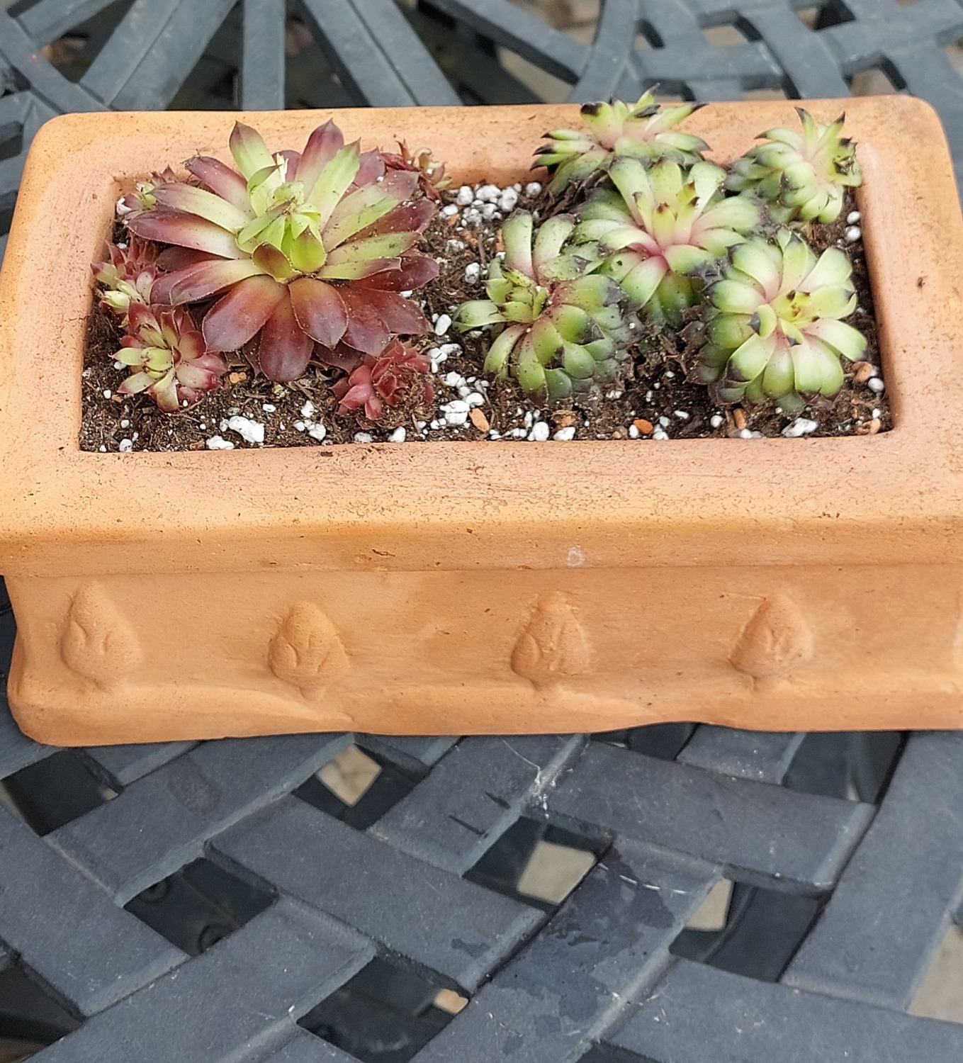 Customer photo